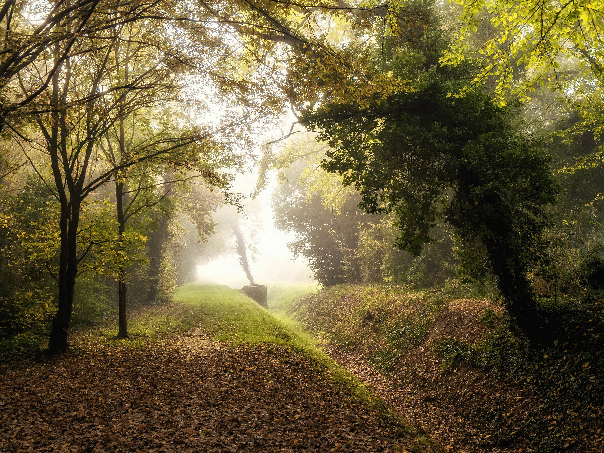 Autumn a stone's throw away - the park under the house