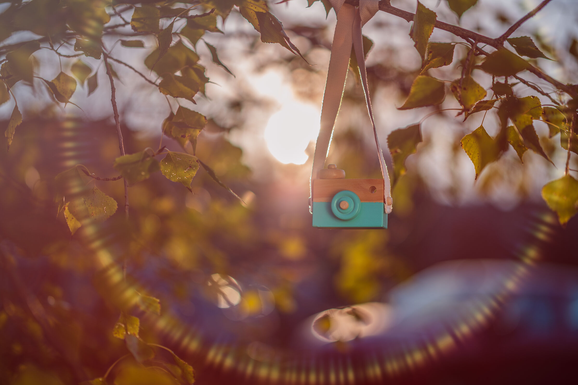 Pentax K-1 - DFA 85/1.4