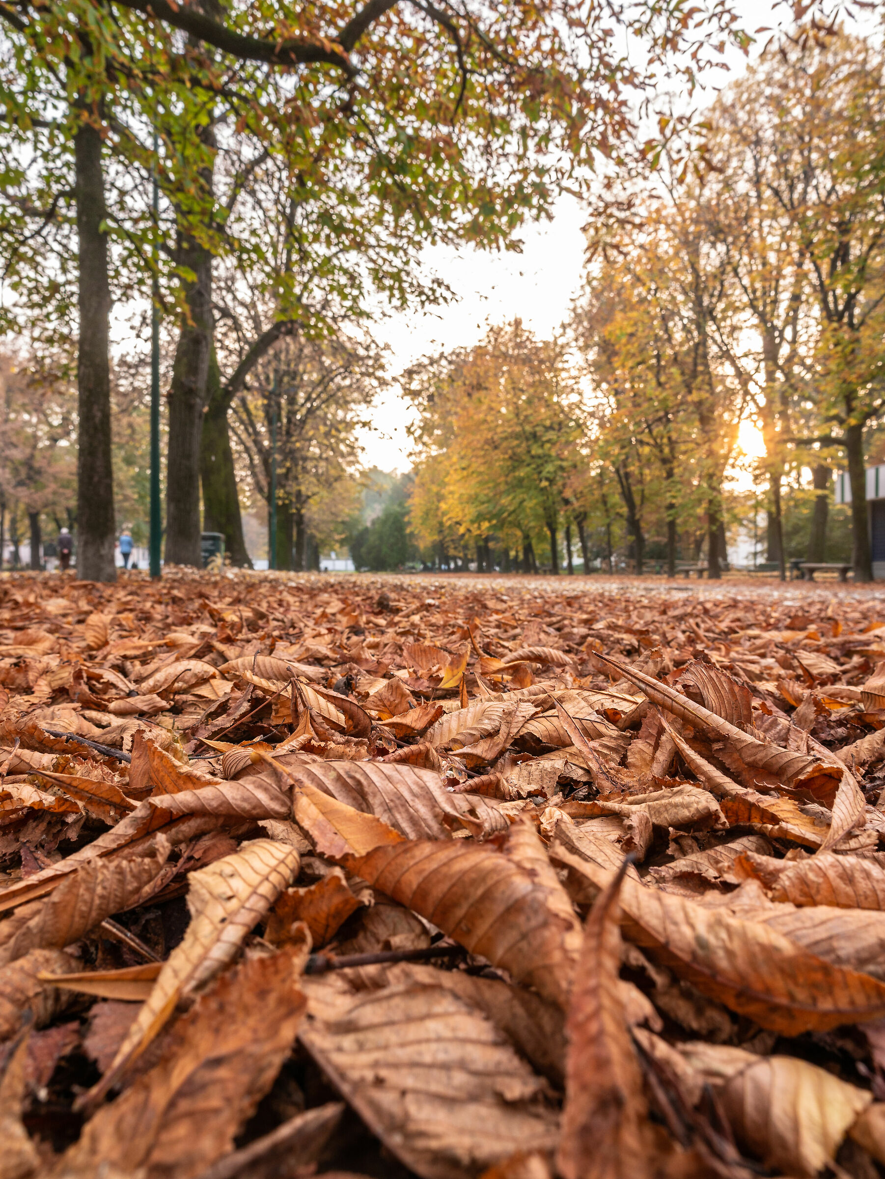 Indro Montanelli Park - Milan