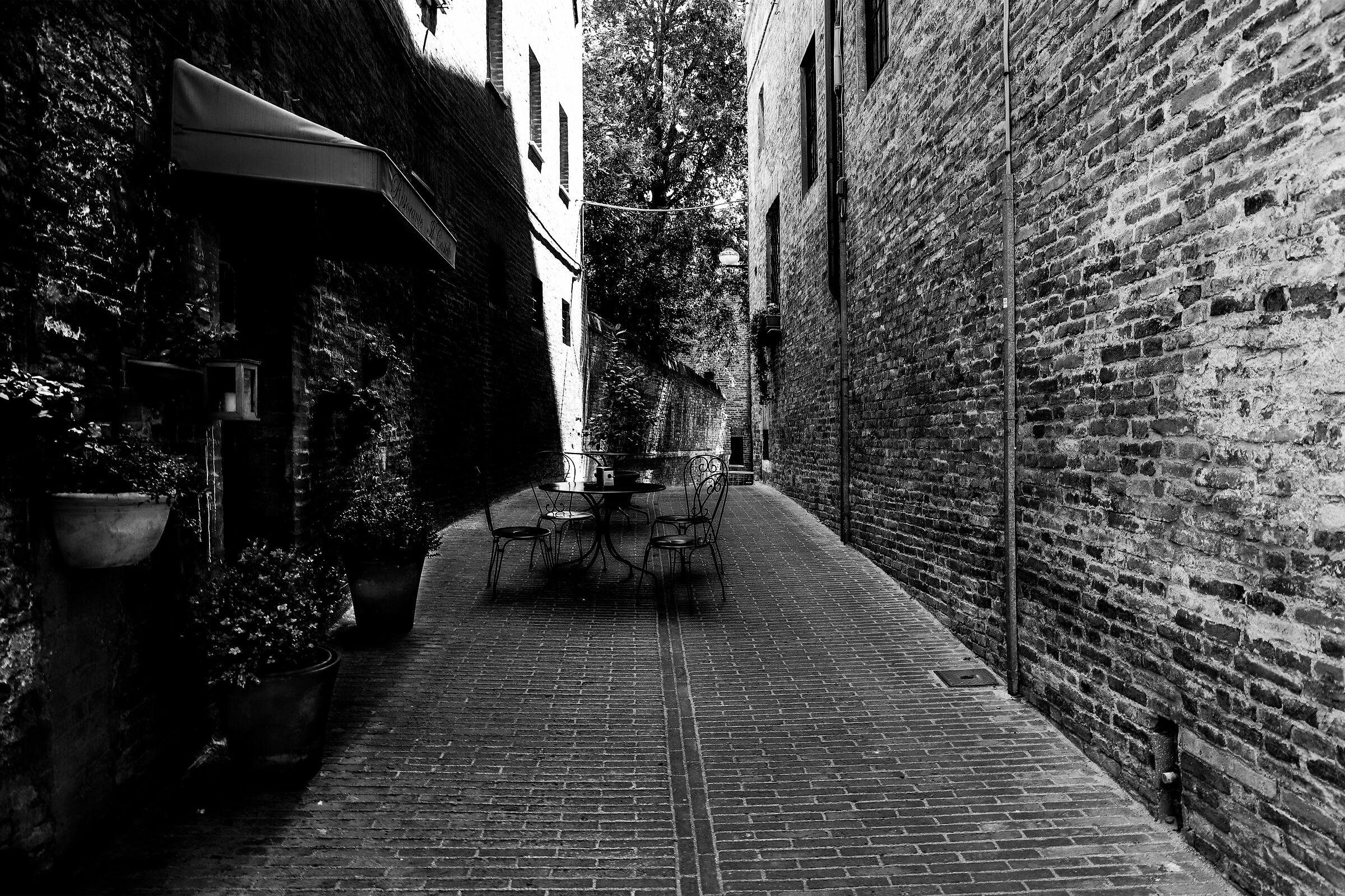 In the shadows of Urbino