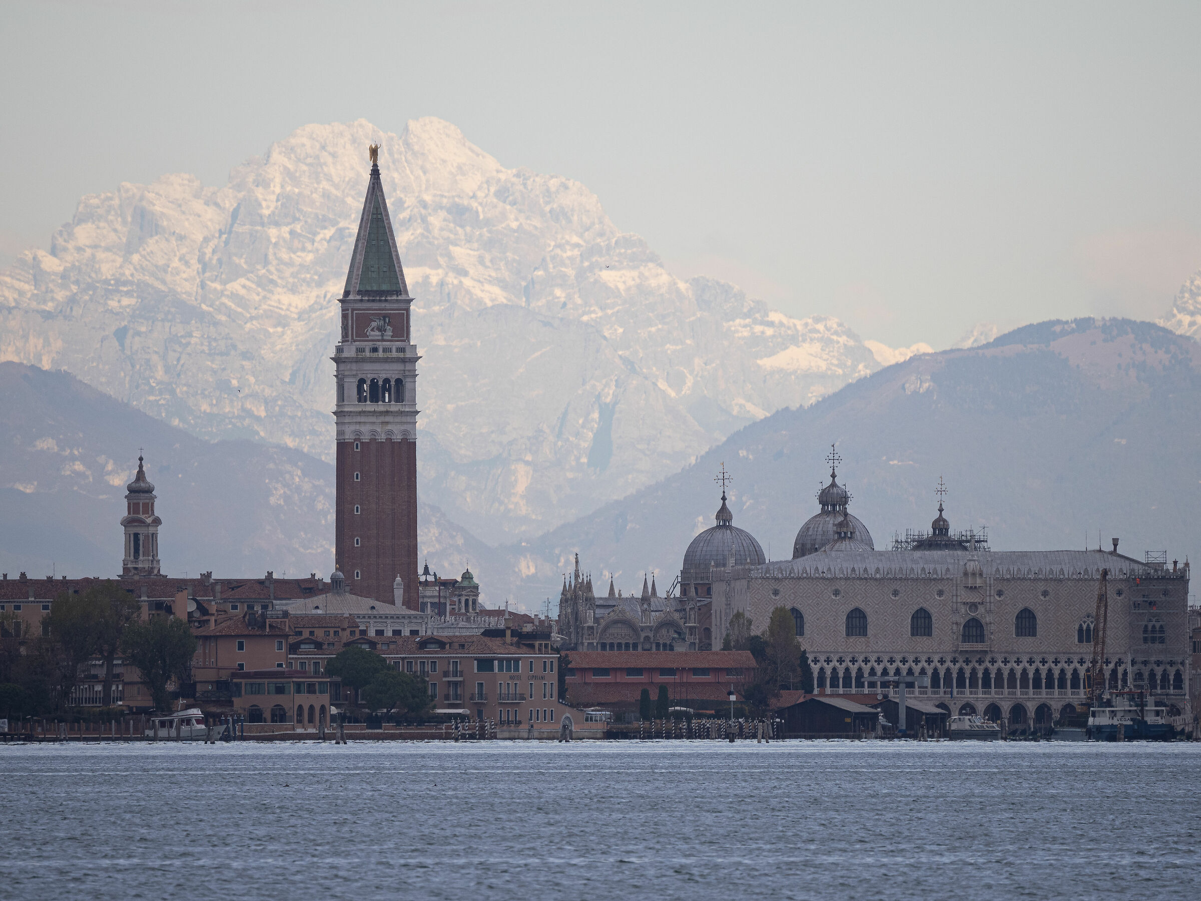 prova con Olympus 100-400