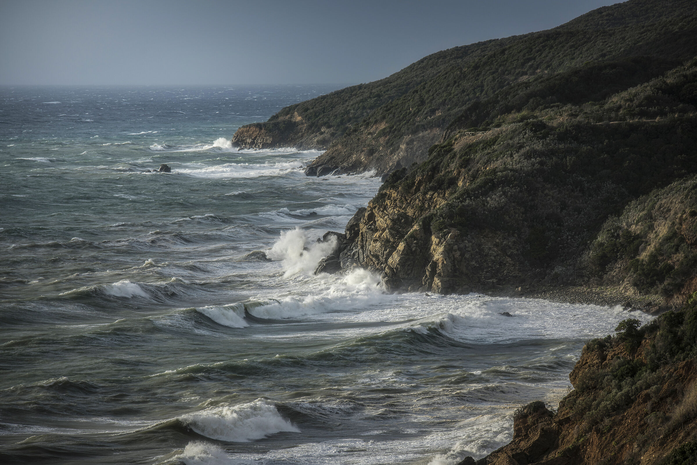 Windstorm on the Tuscan coast