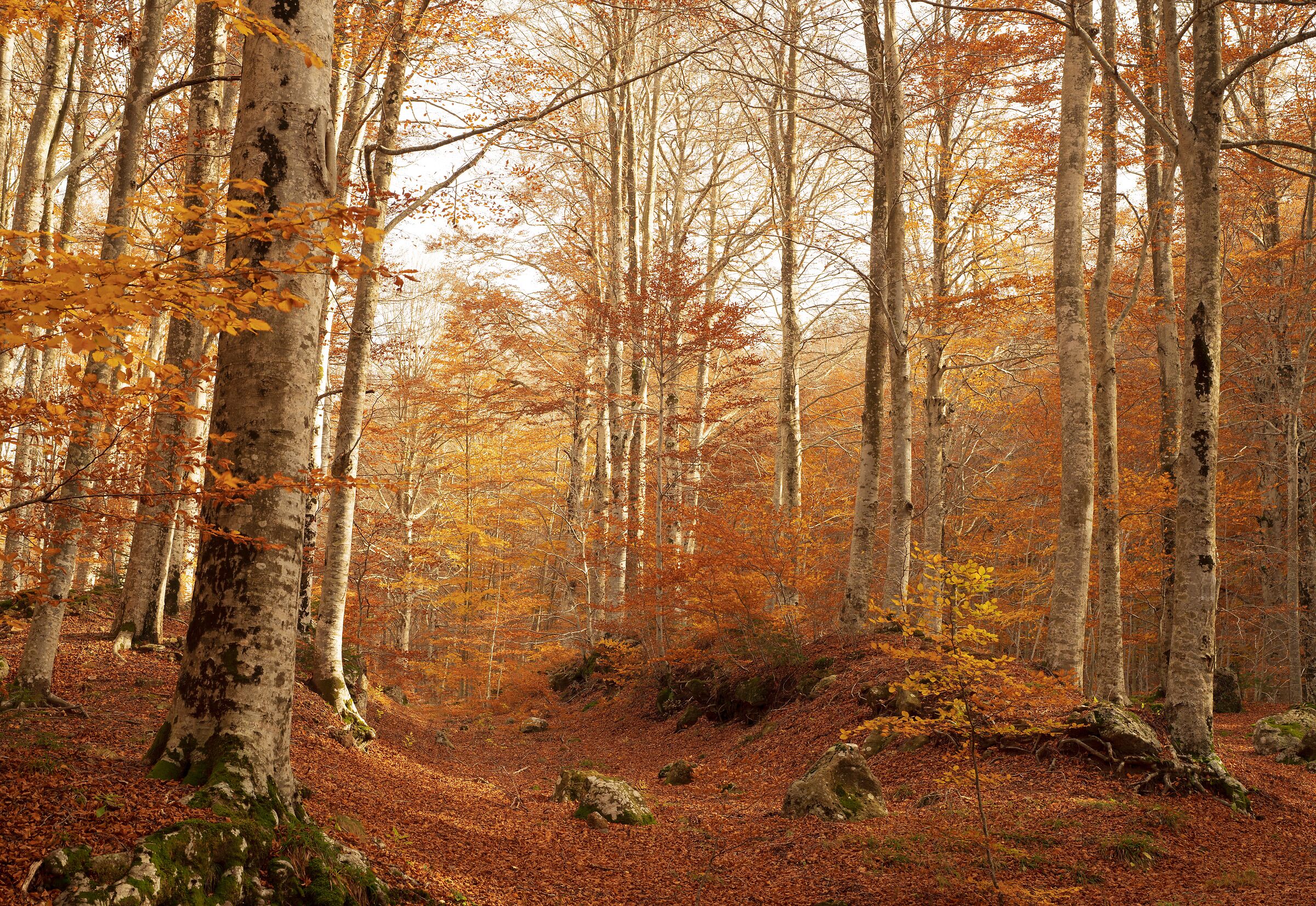 poesia autunnale, monte amiata