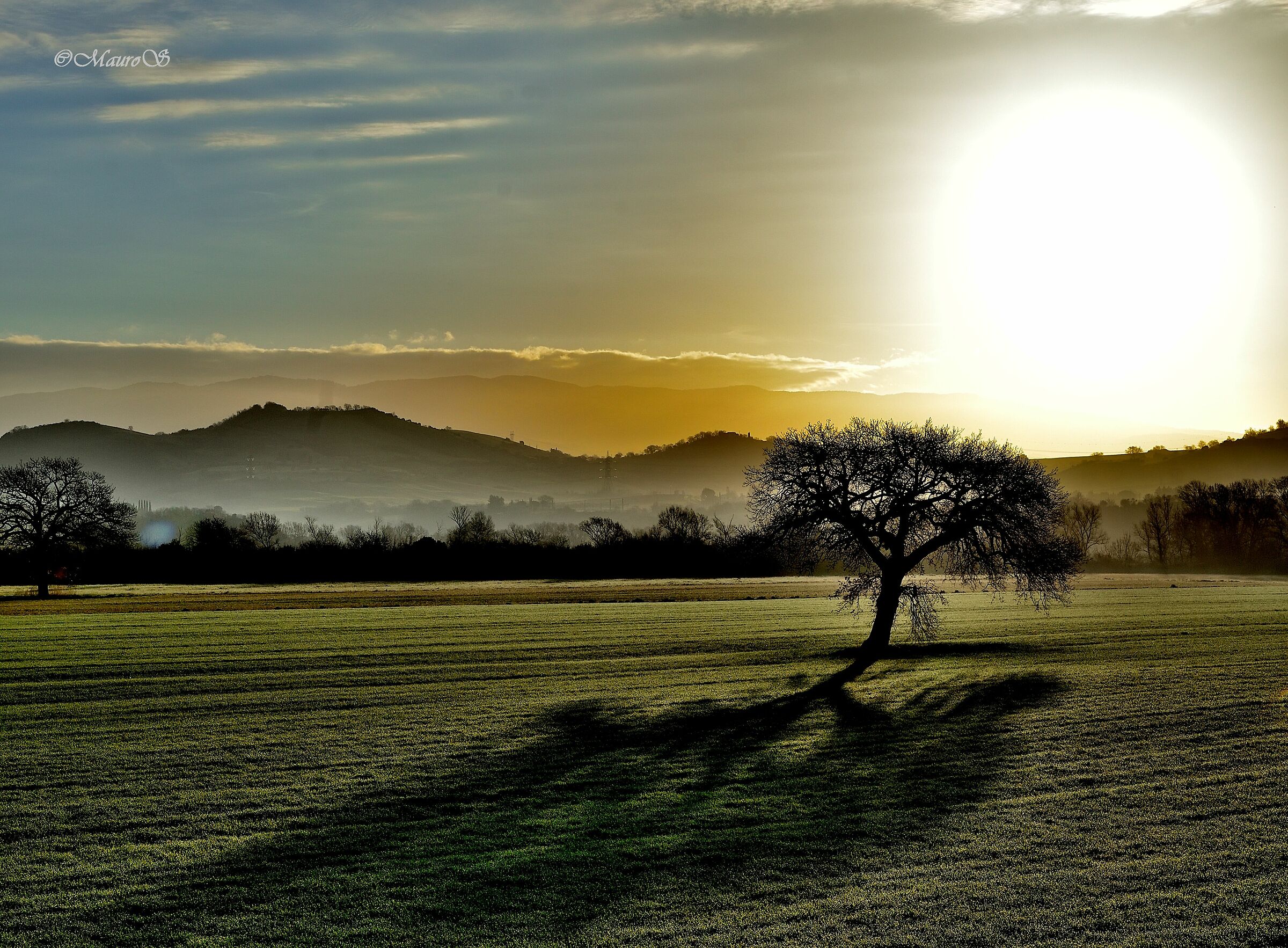 Shadows and Maremma Lights