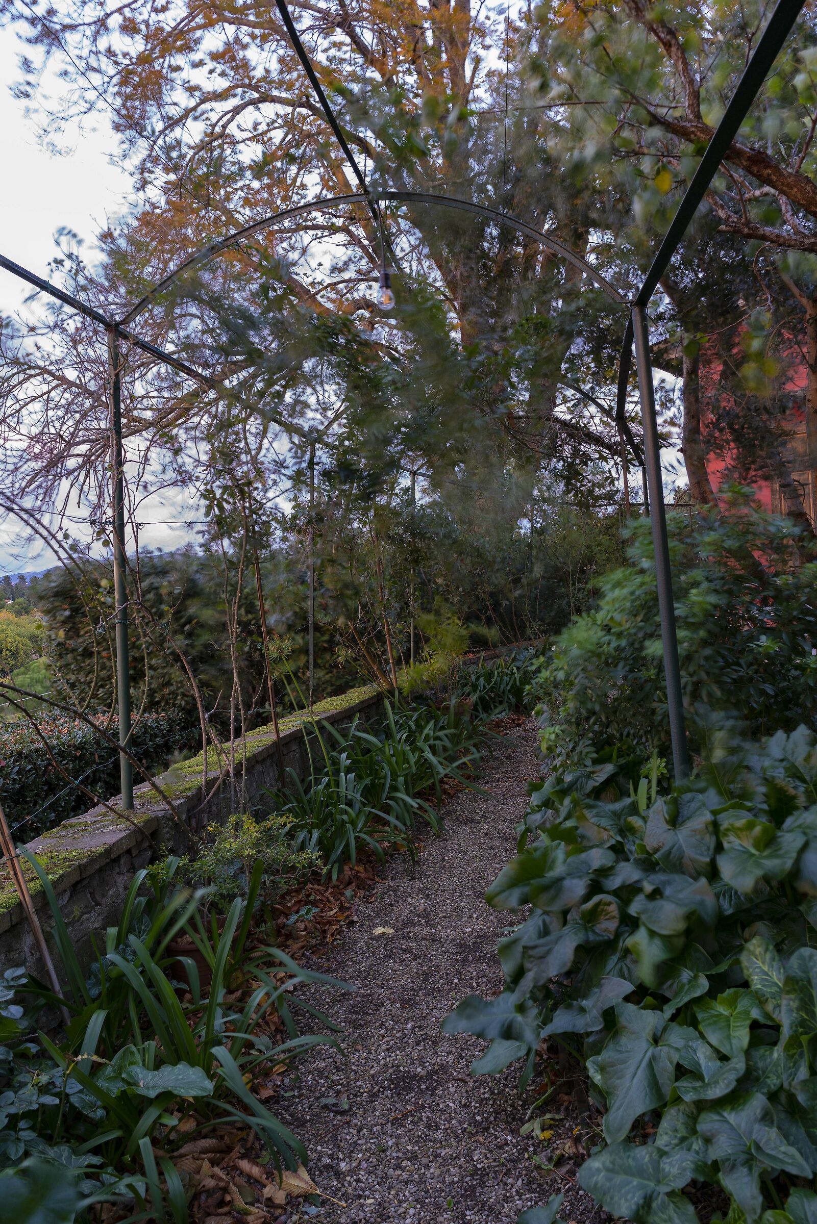 At sunset in a garden