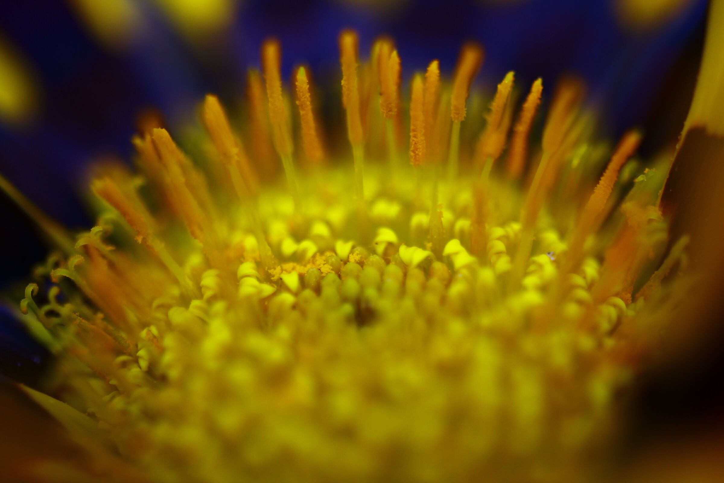 let me take some nectar please...