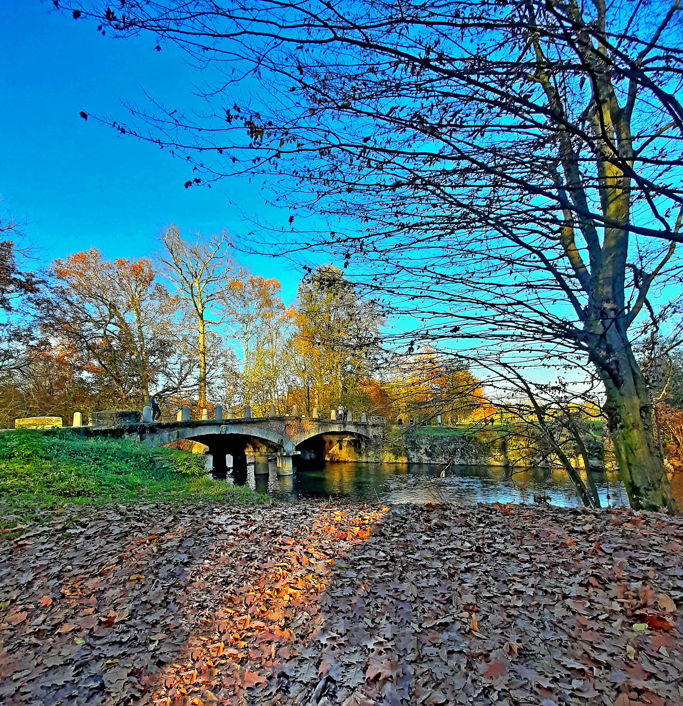 passeggiata nel parco di Monza