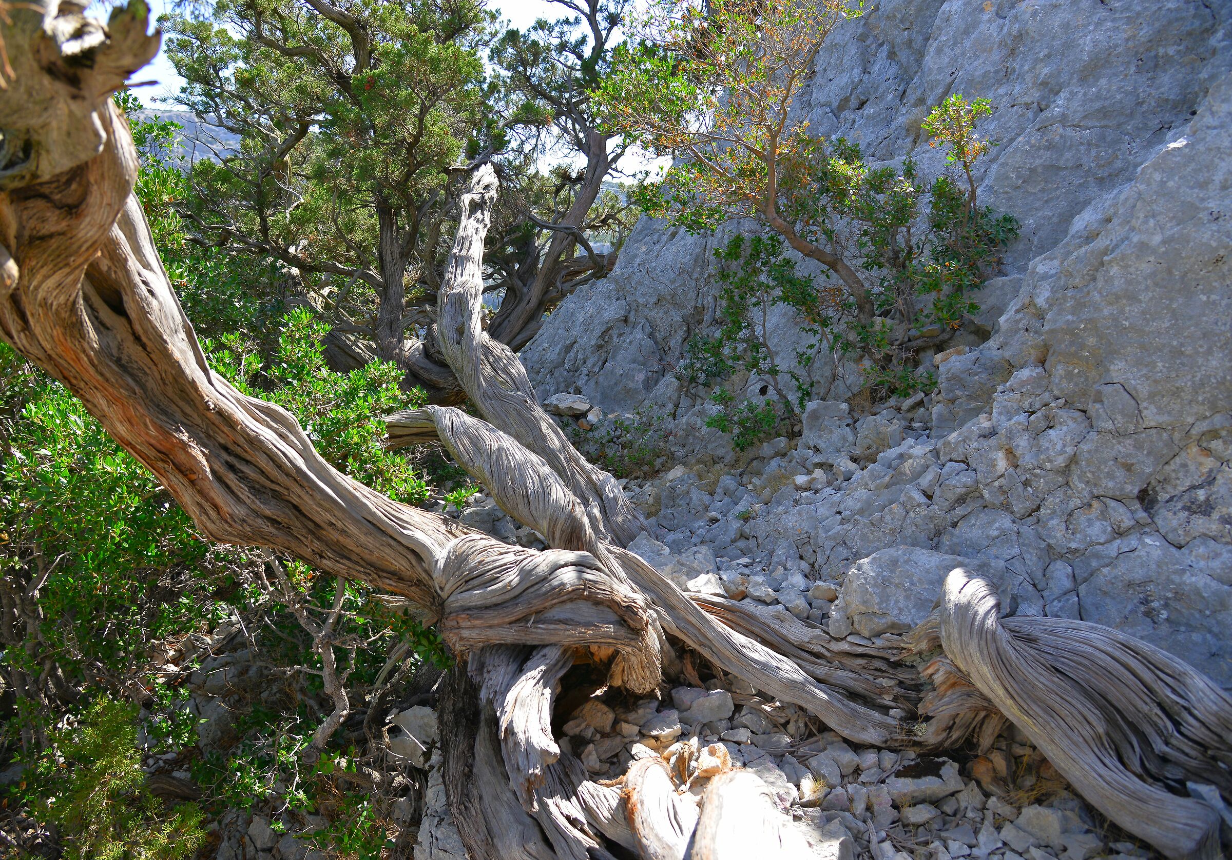 Sardinia