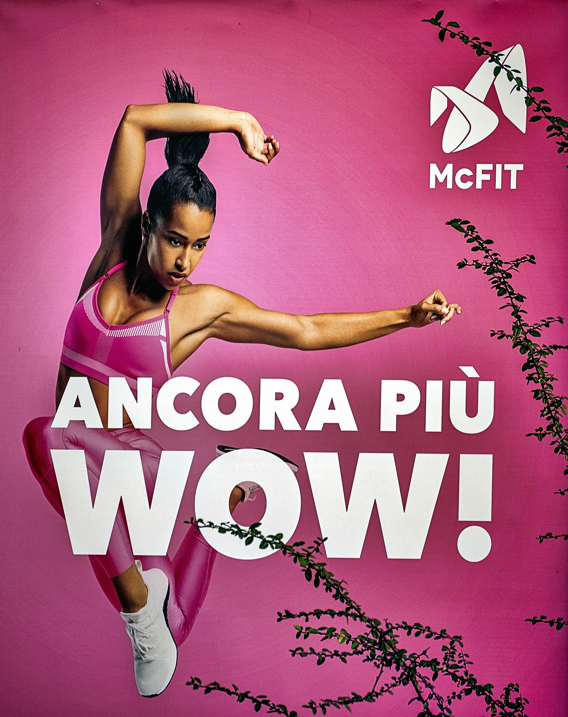 Manifesto tra gli arbusti