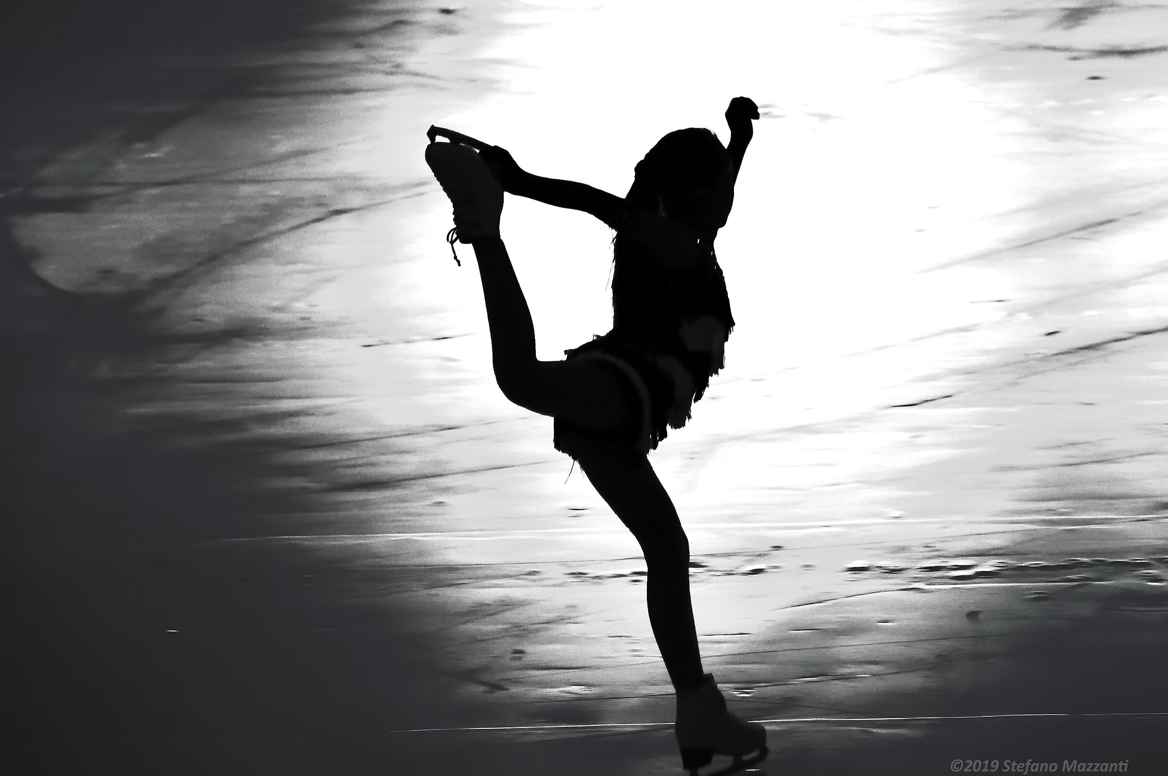 silhouette on the ice
