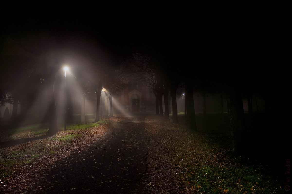 Novembre, nebbia, luce, un approdo....forse.