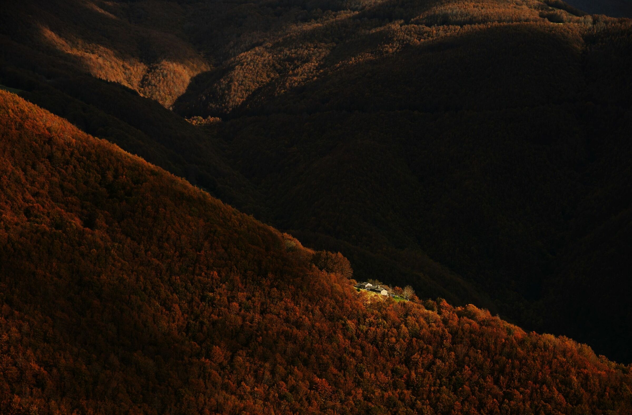 In the Middle of Autumn