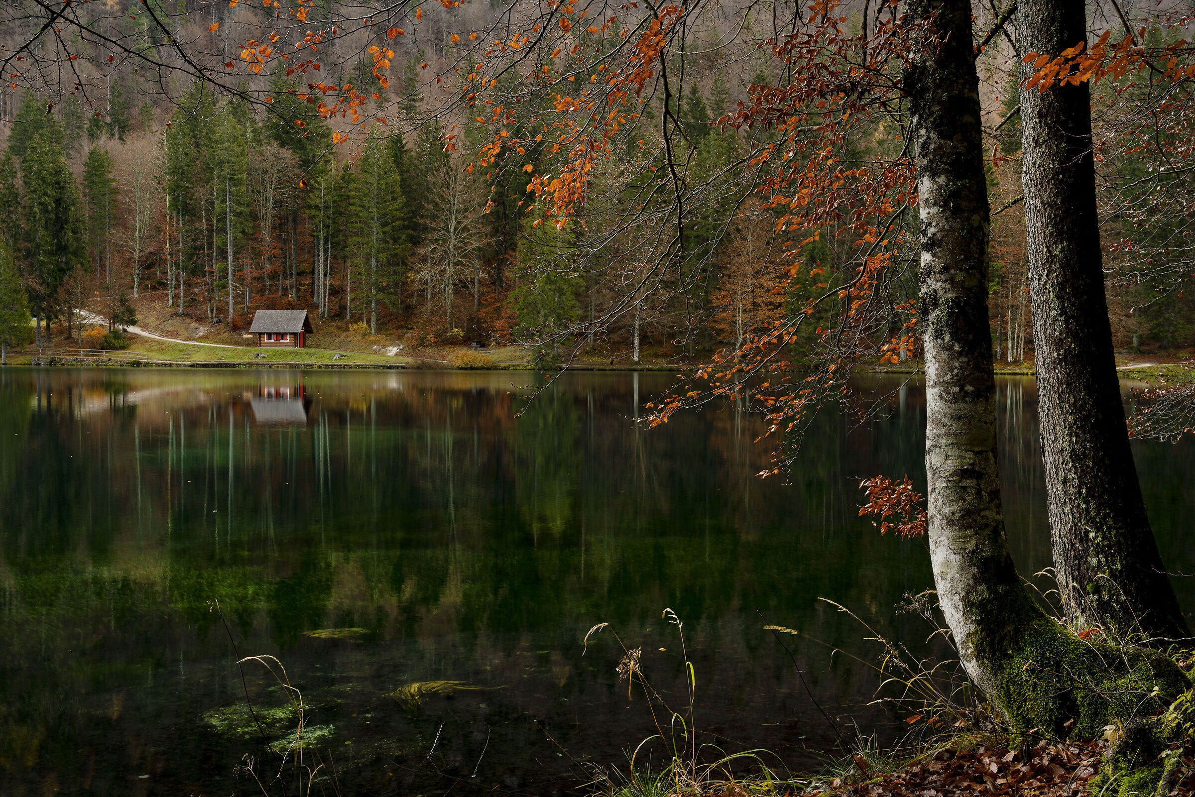 Lago inferiore di Fusine (ud)