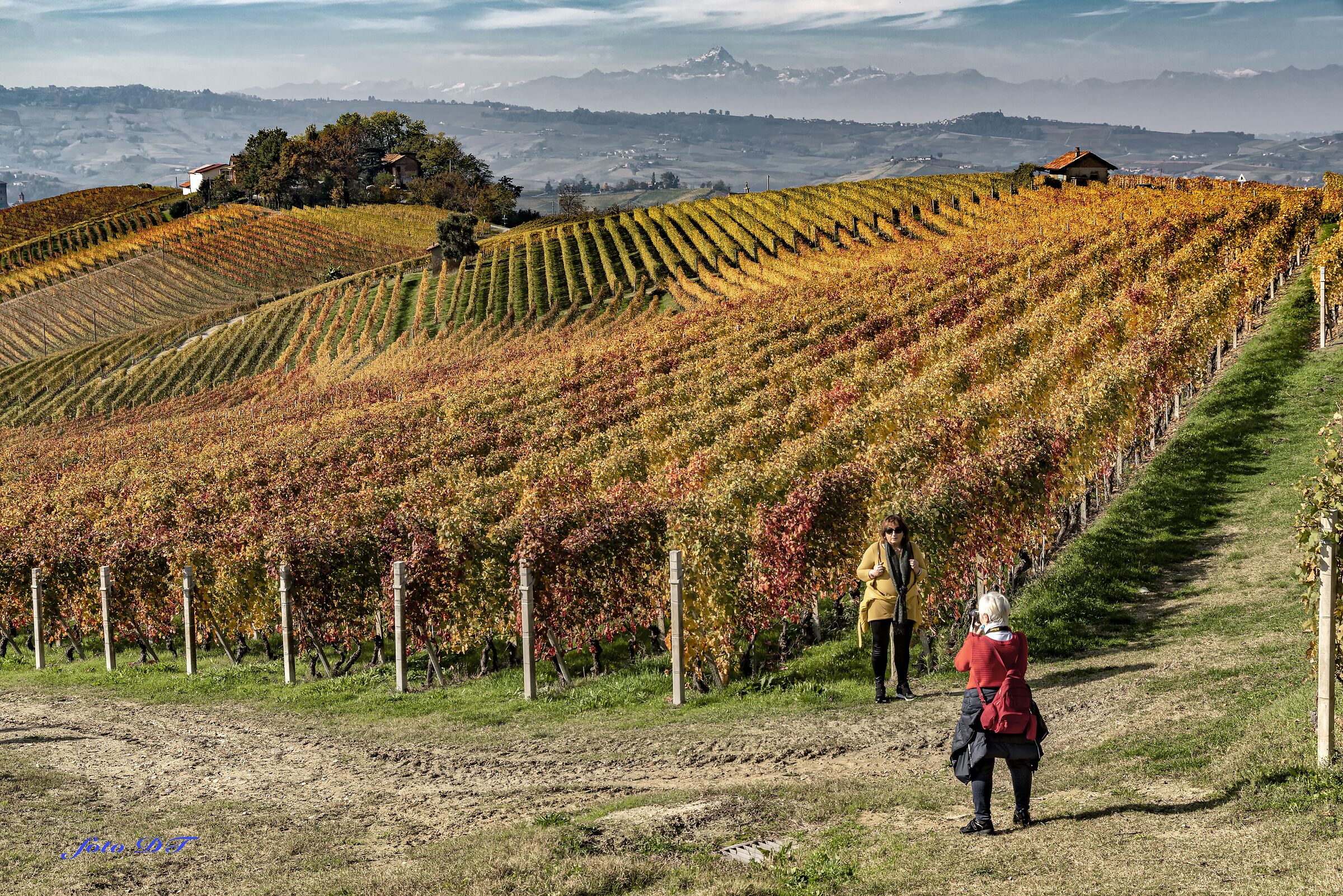 le langhe cuneesi e i colori dell'autunno