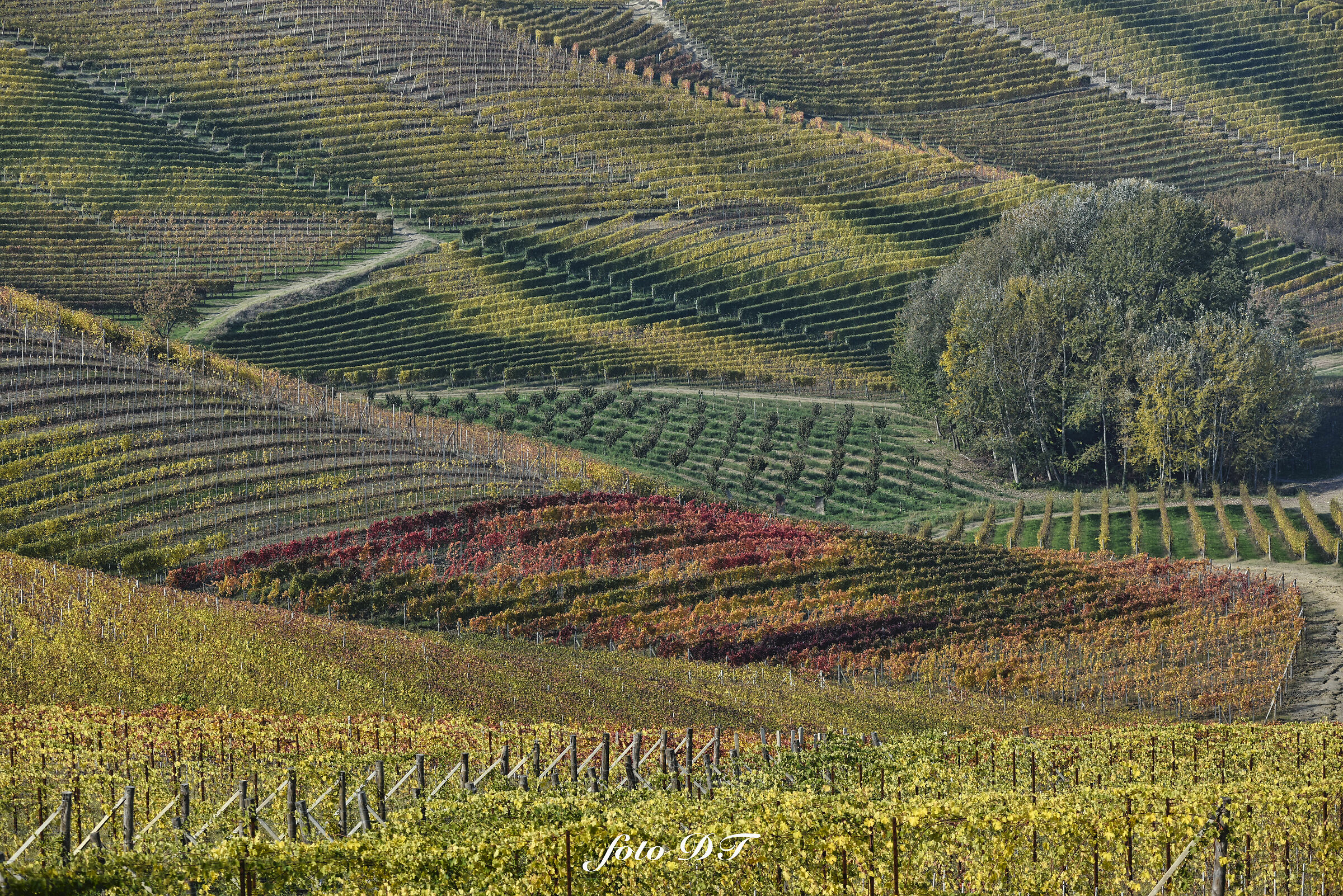 LANGHE CUNEESI, GEOMETRIES