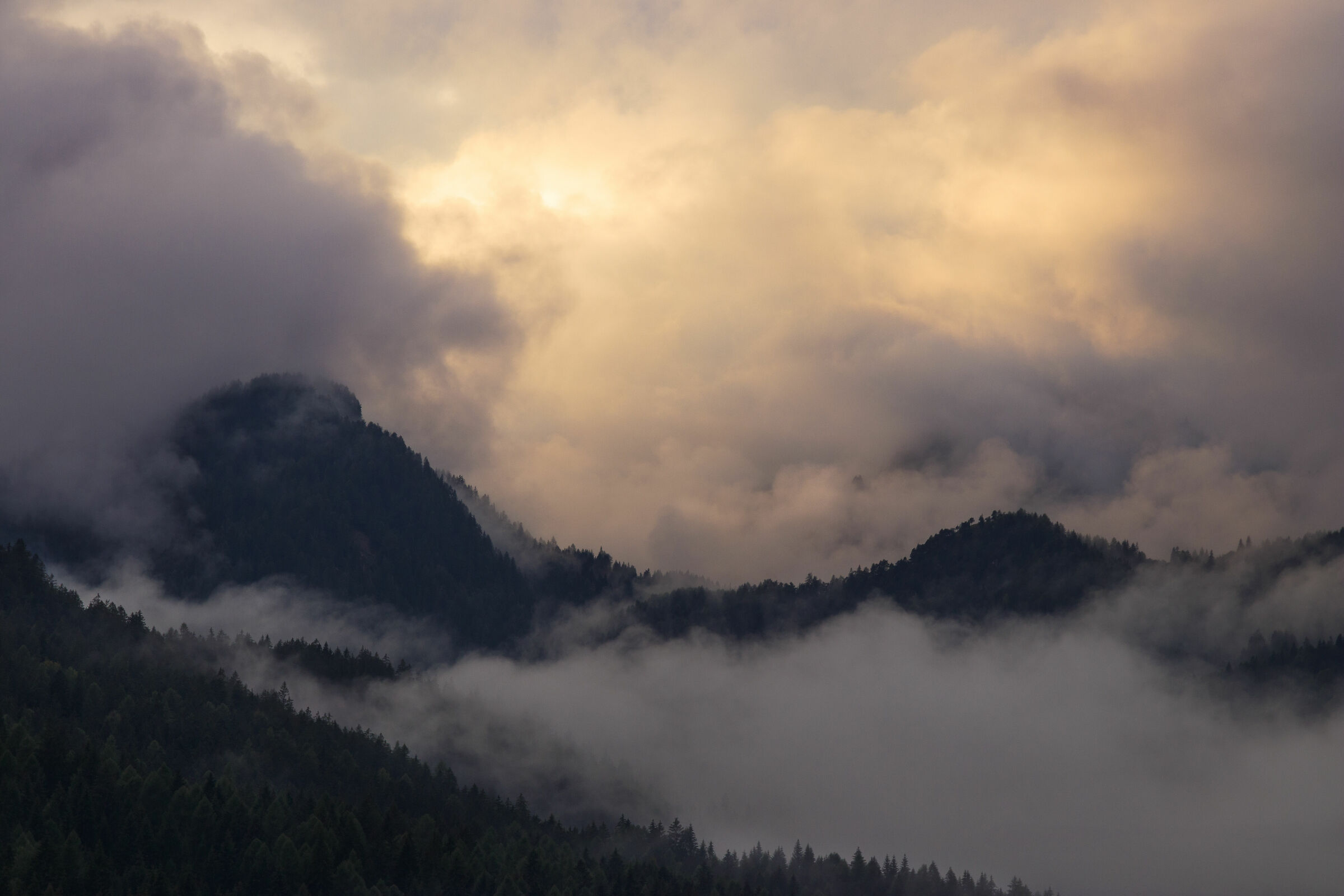 sturm und drang