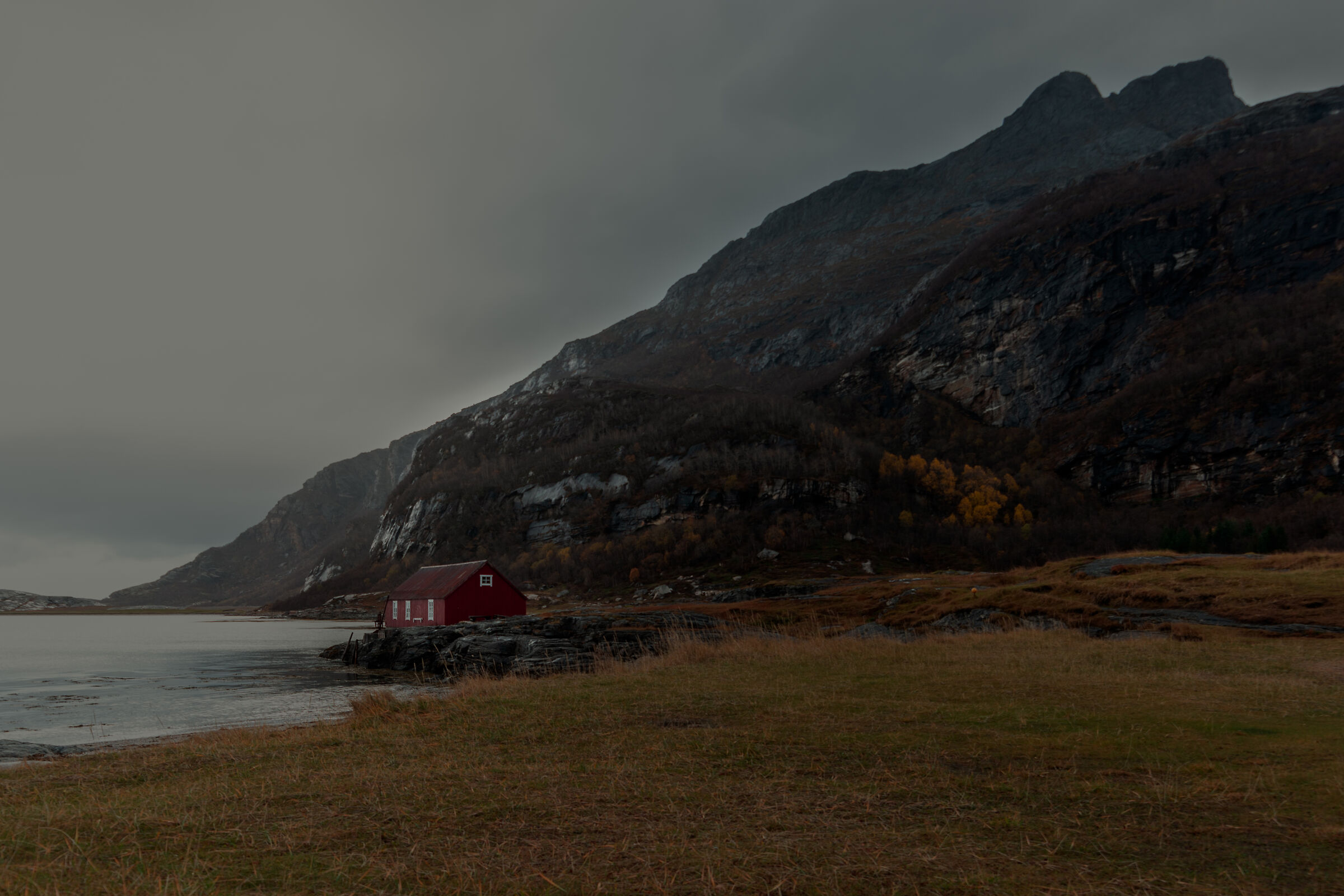 Colori scandinavi