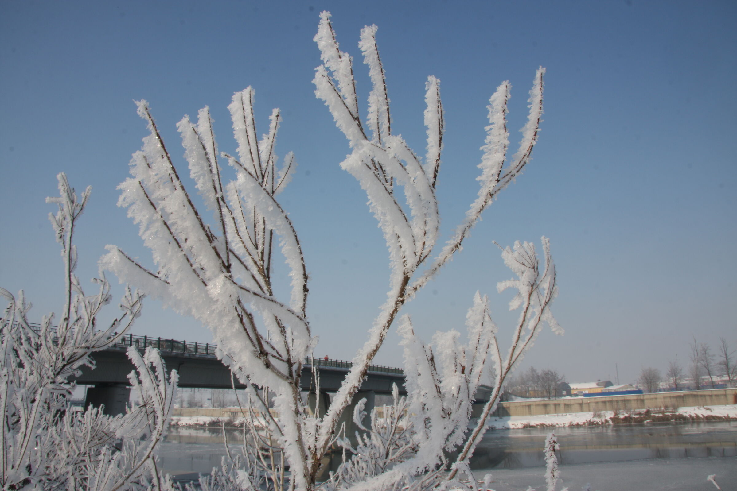 Ponte Tiziano (al) -20C°