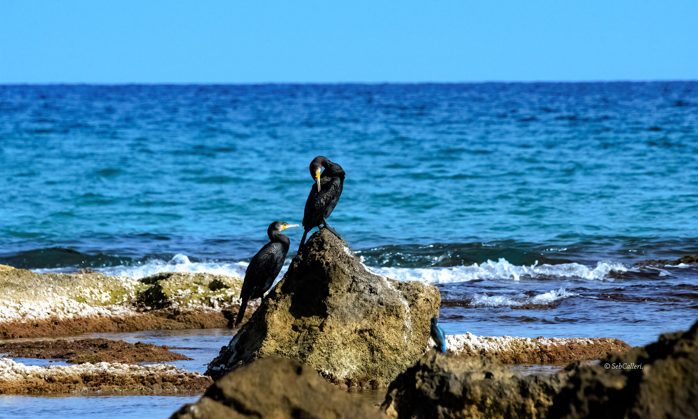 " Find the intruder.."