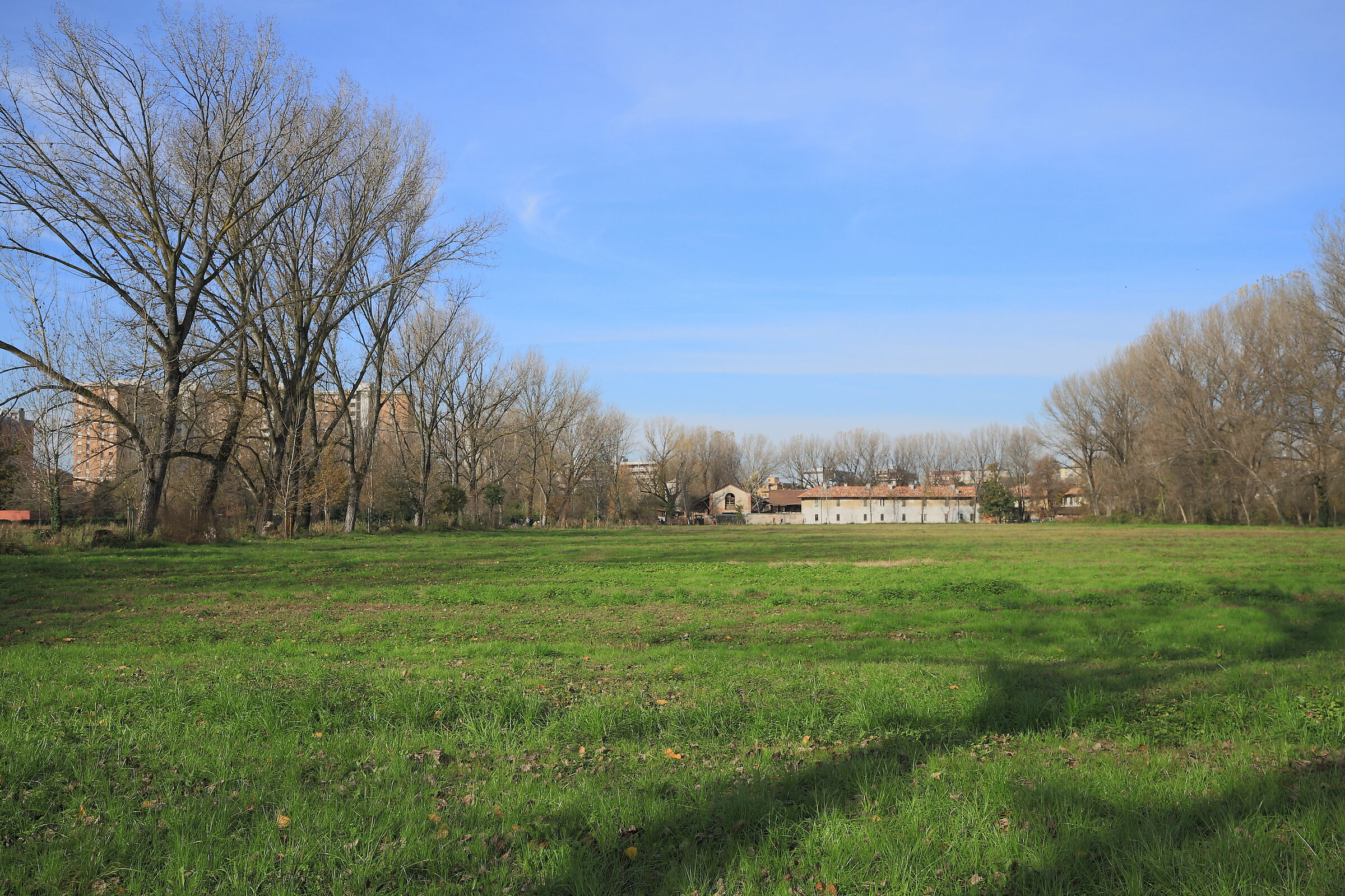 Milano è anche questo….