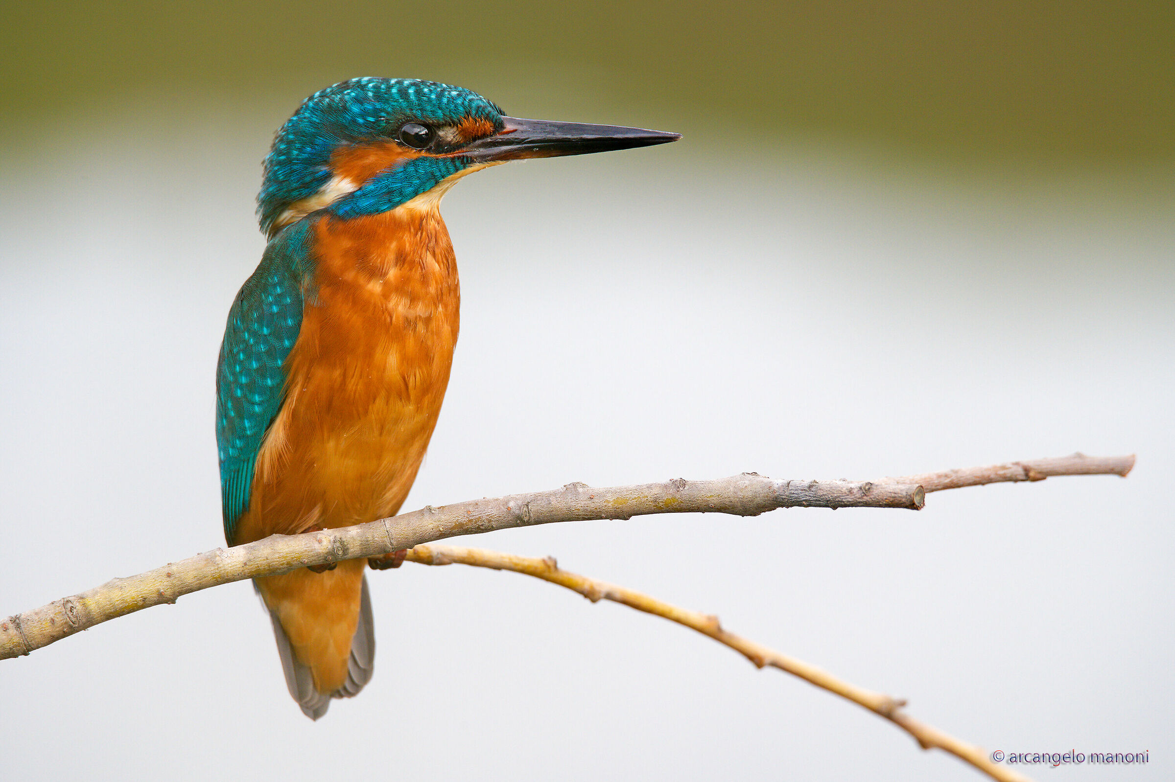 On the reflection of the lake a martino