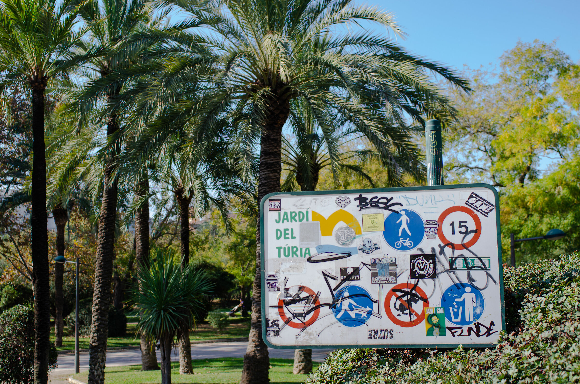 Jardi de Turia