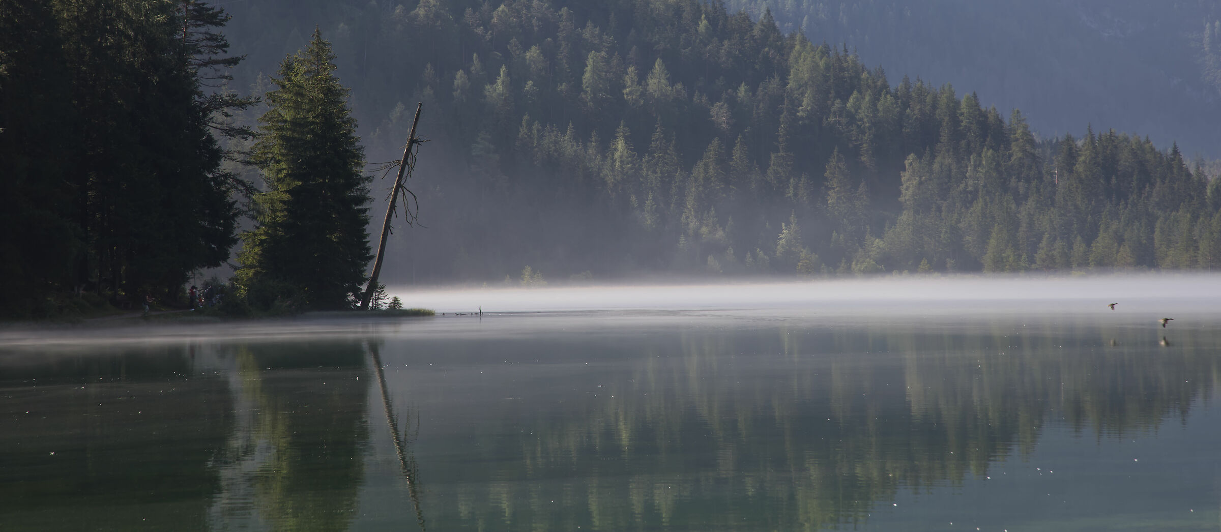 Morning on the lake
