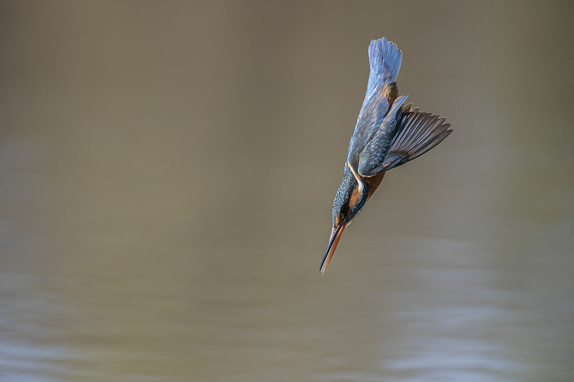 la picchiata del martin
