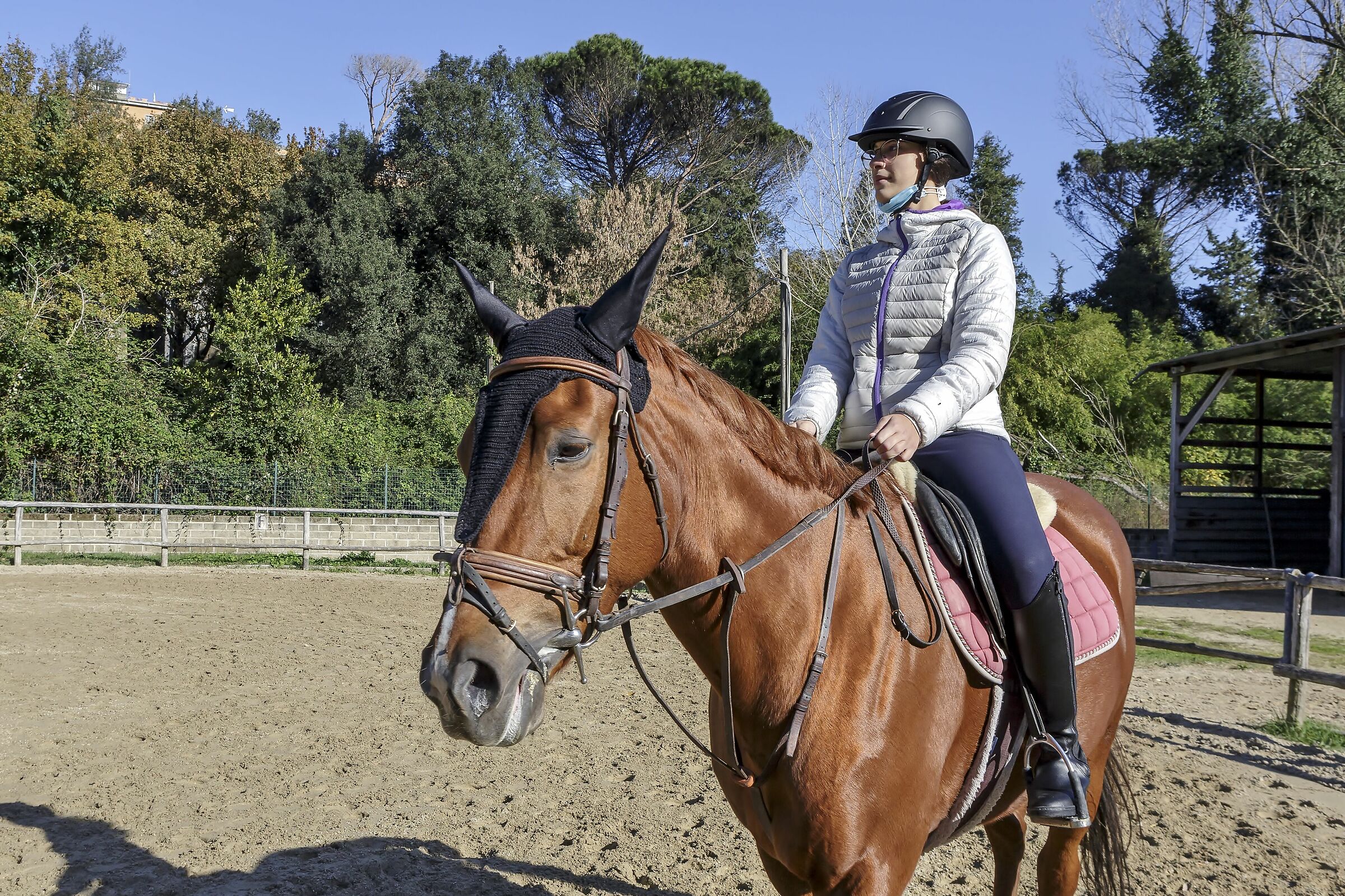 Oggi... "siamo a cavallo"