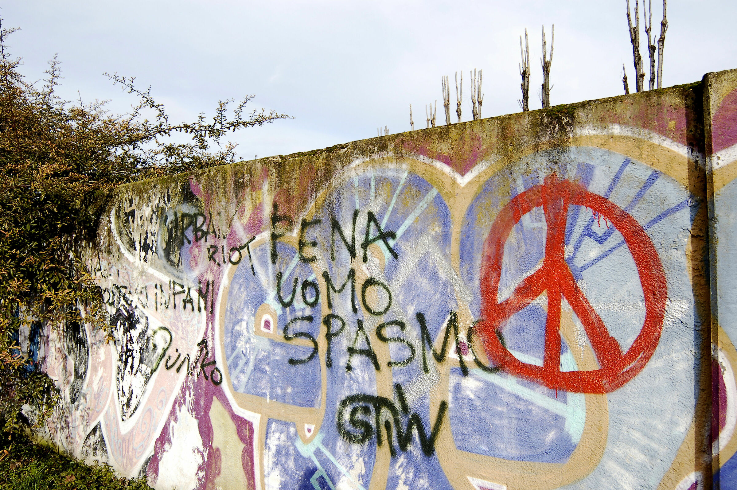 Anche gioia,ogni tanto.