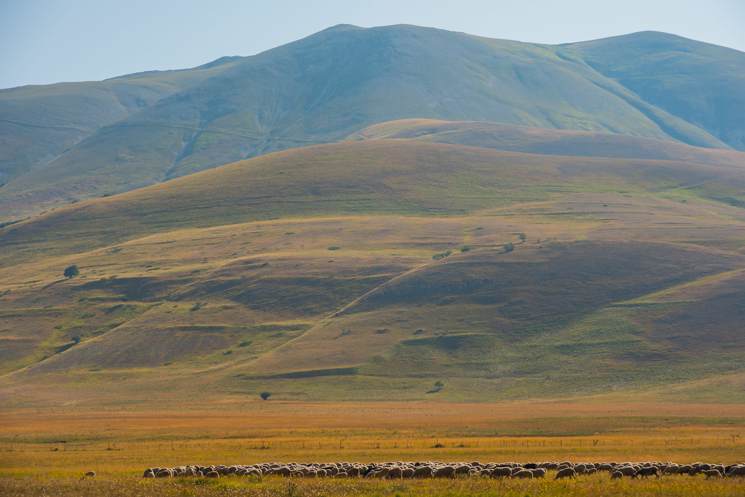 Plans of Castelluccio