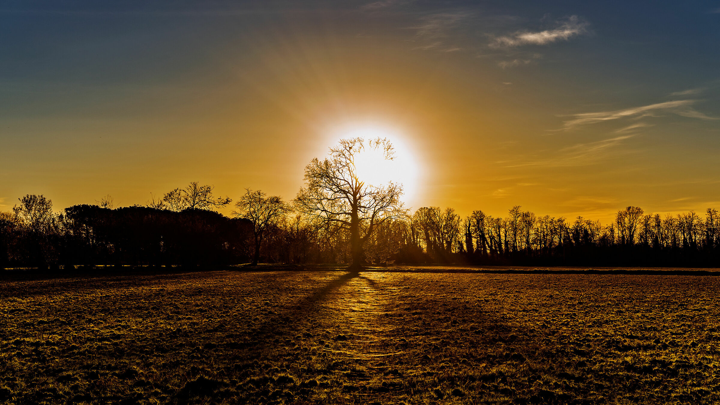 Con un colpo di scure non s'abbatte una quercia