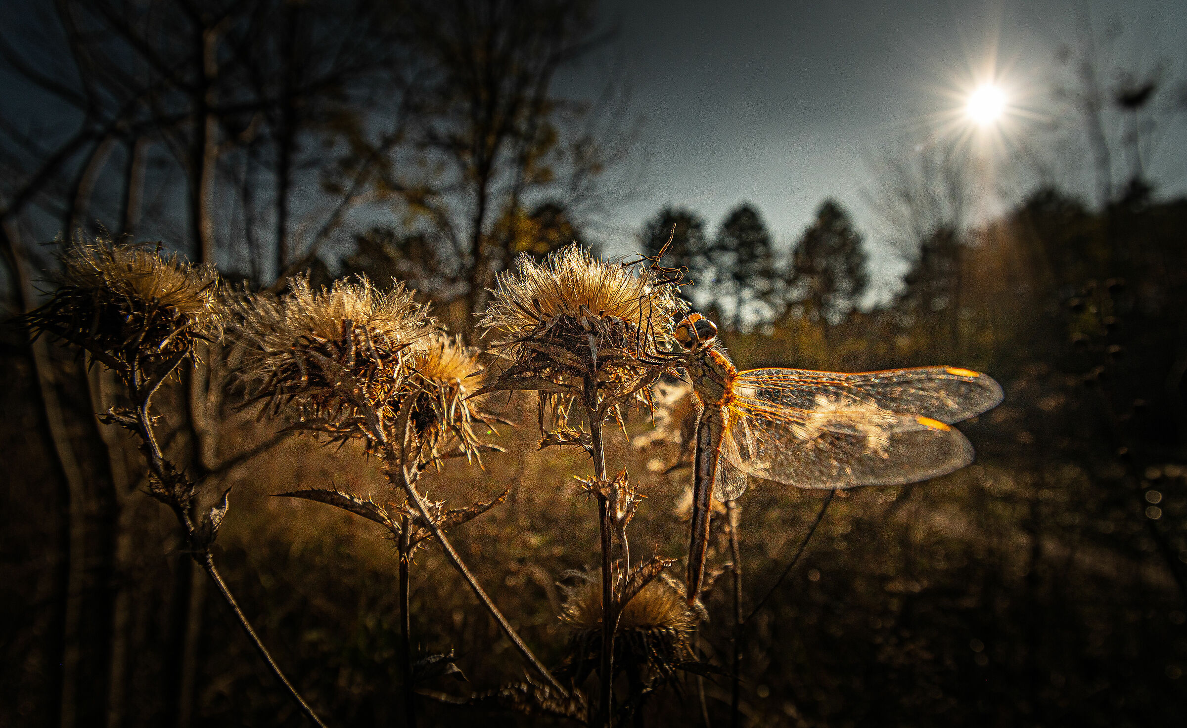 Untitled Photo
