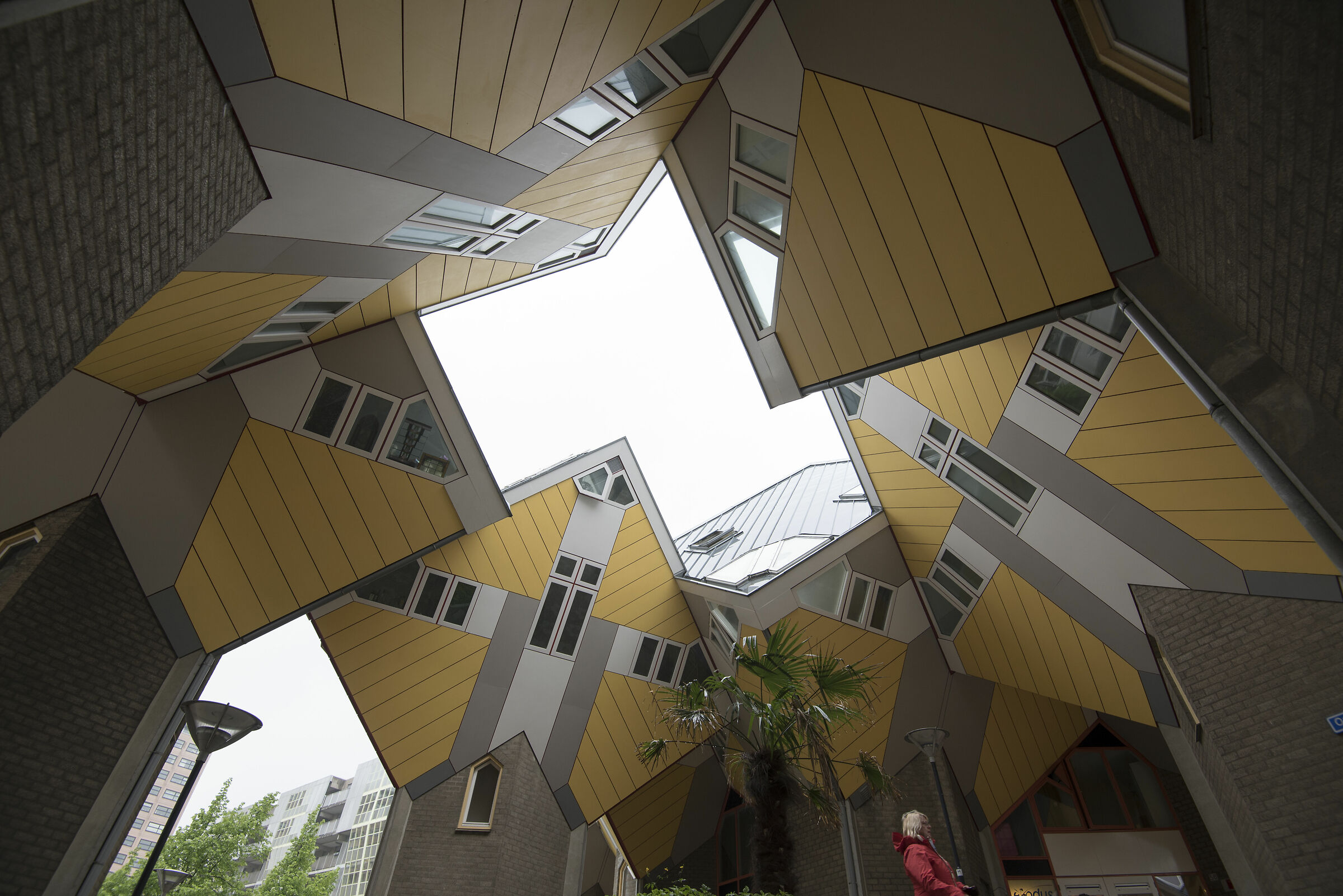 Rotterdam case cubiche