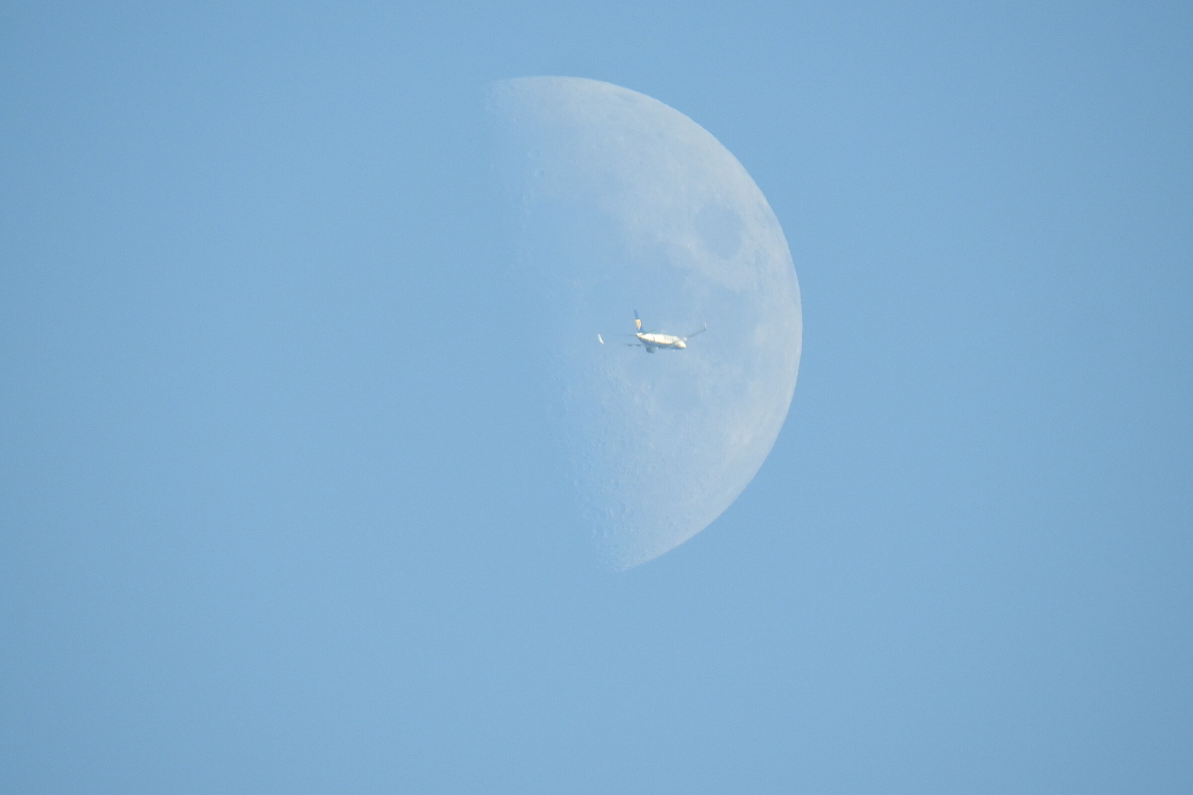 The Switch. Il cambiamento.