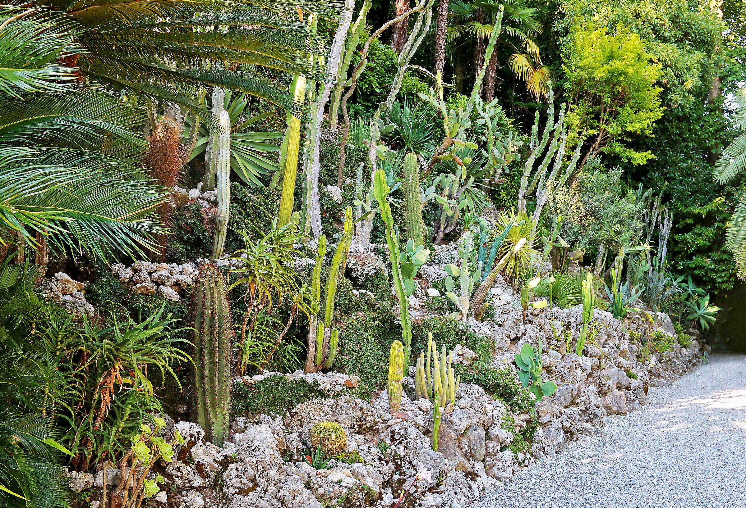 Botanical Garden Villa Carlotta
