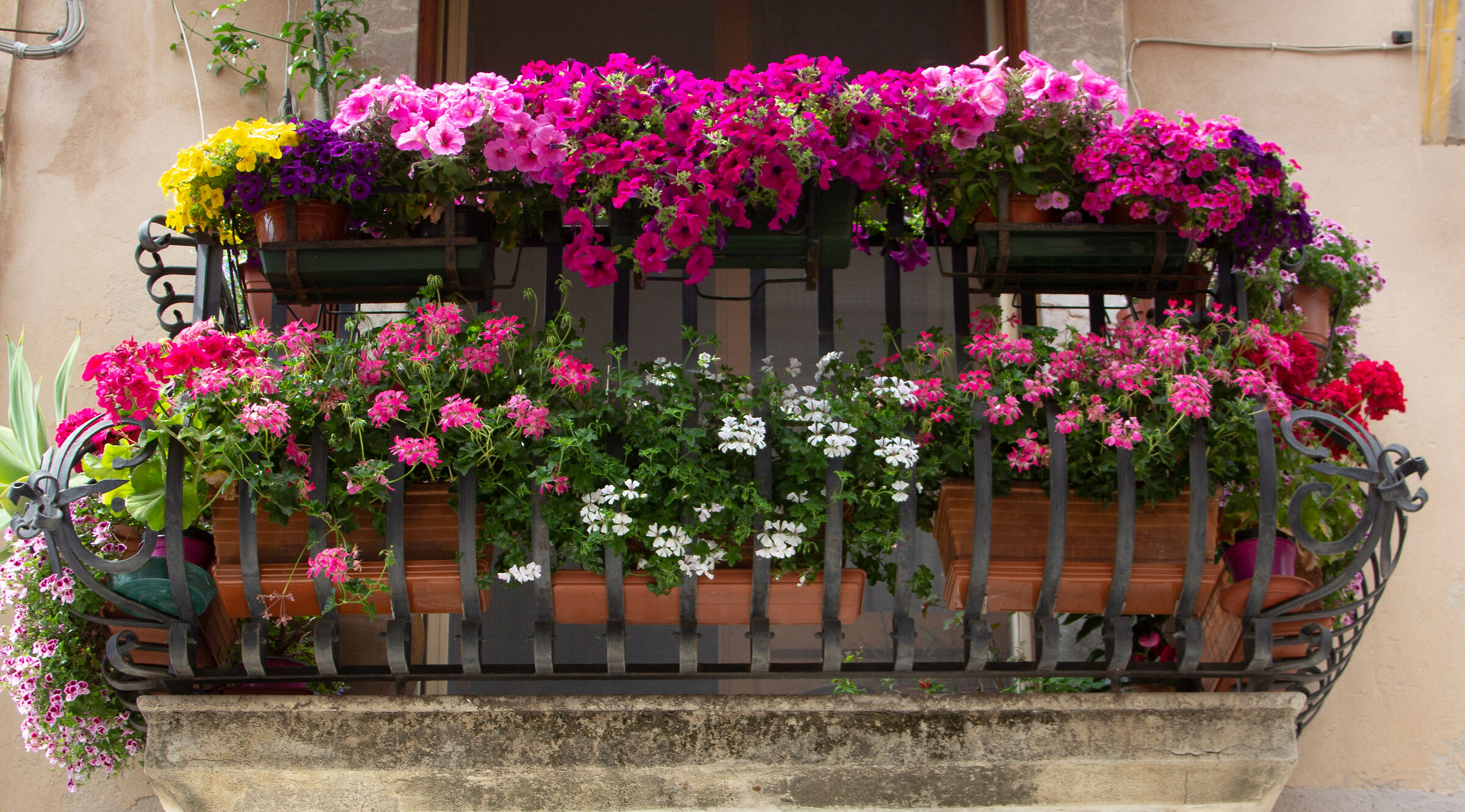 Flowery balcony