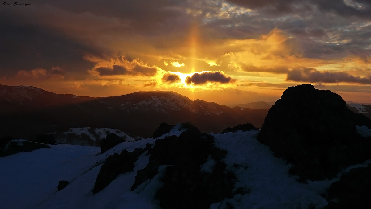 vedo in te tutto ciò che vive ..
