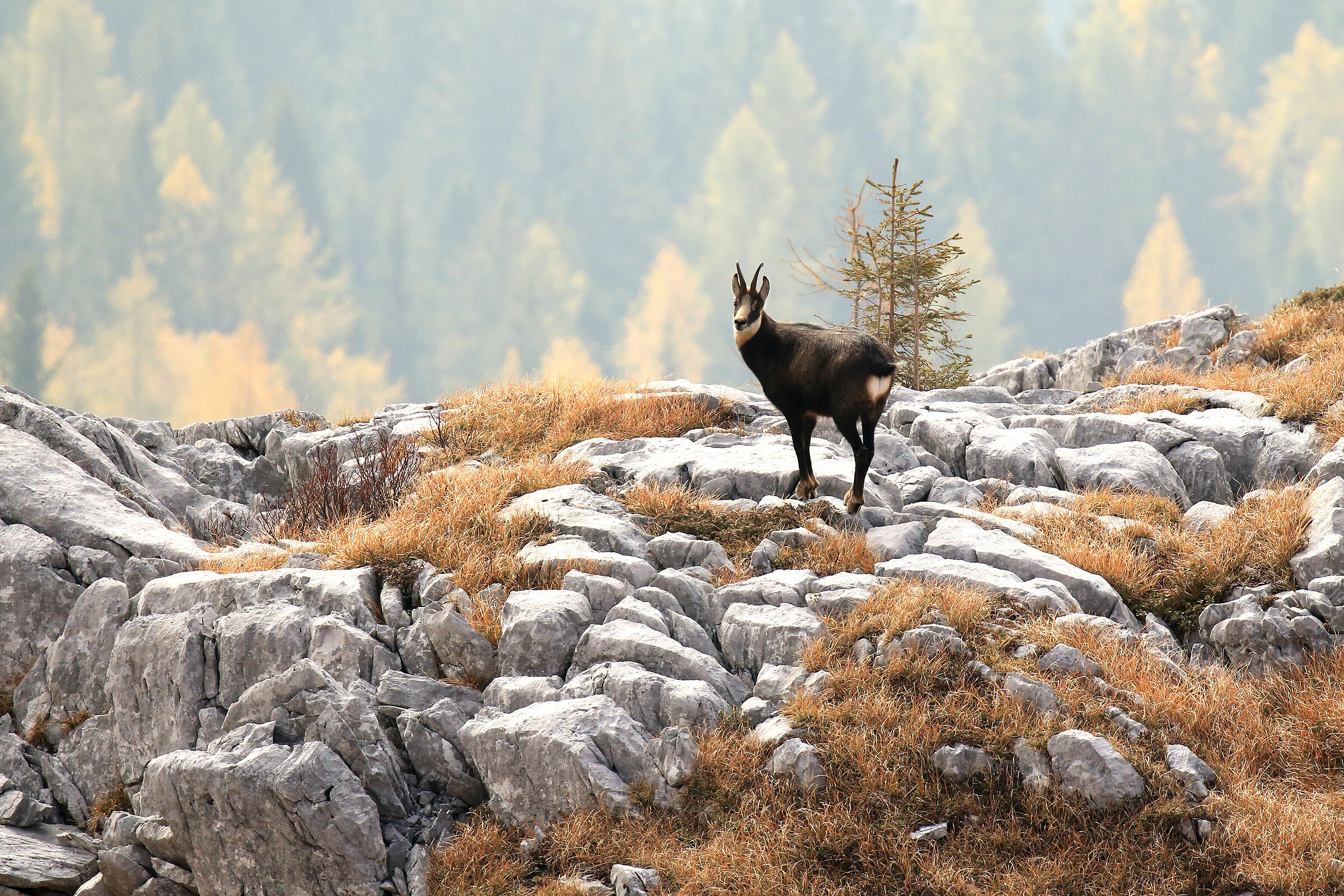 manteniamo le distanze...