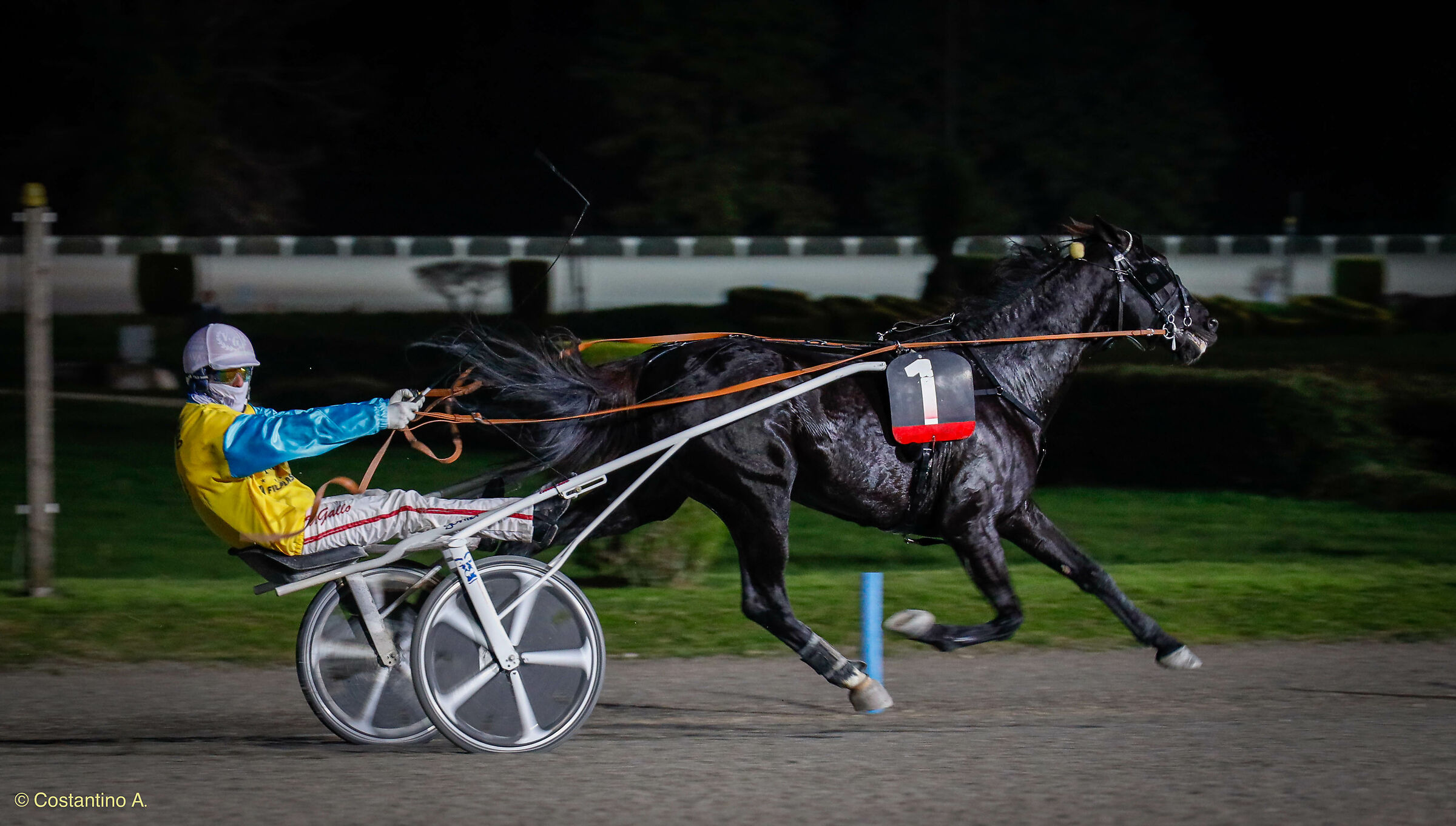 And the winner is...