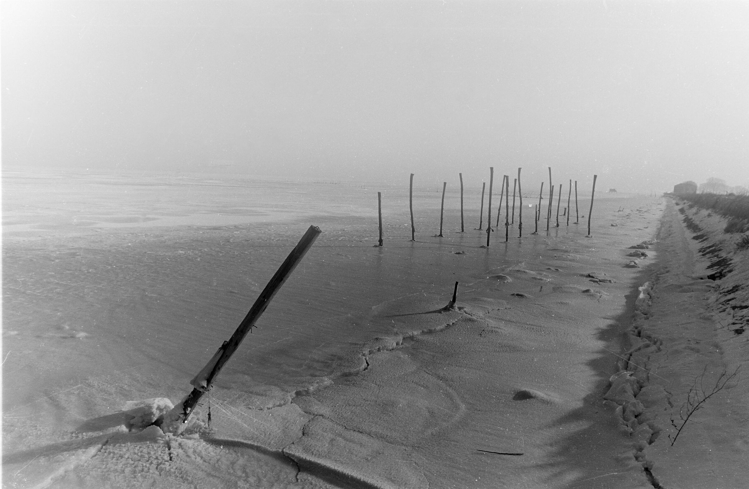 1985 Frozen Lagoon 2