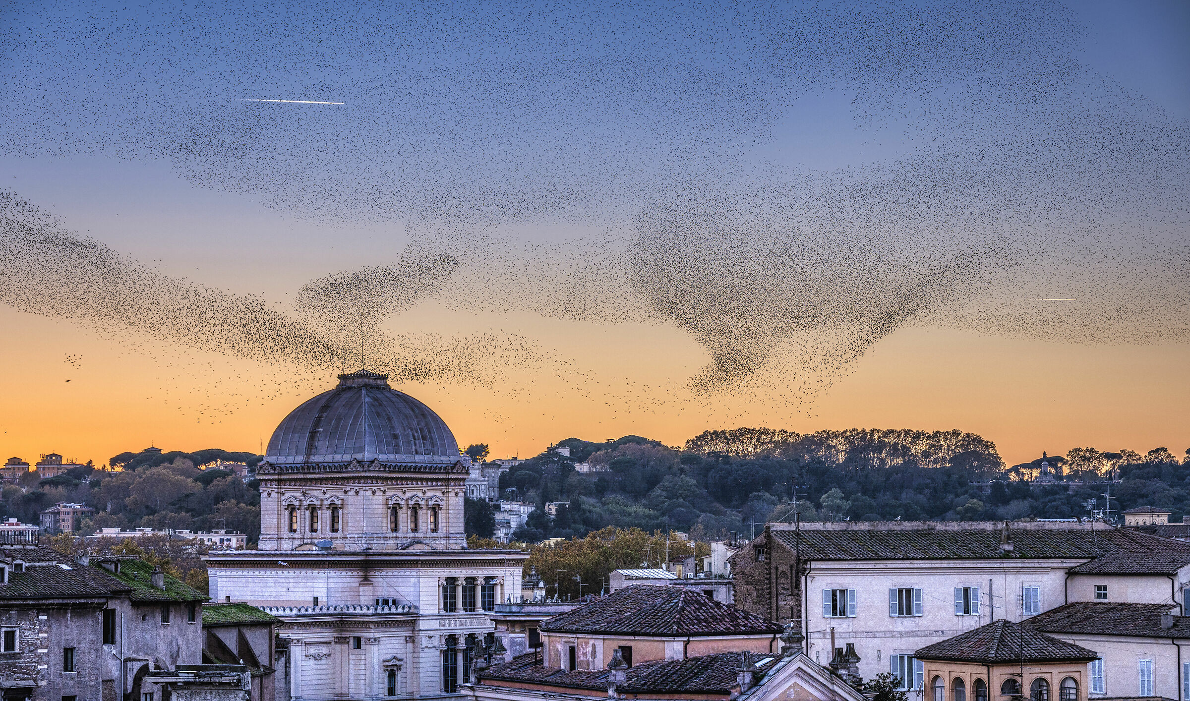 gli uccelli migratori nel tramonto di Roma