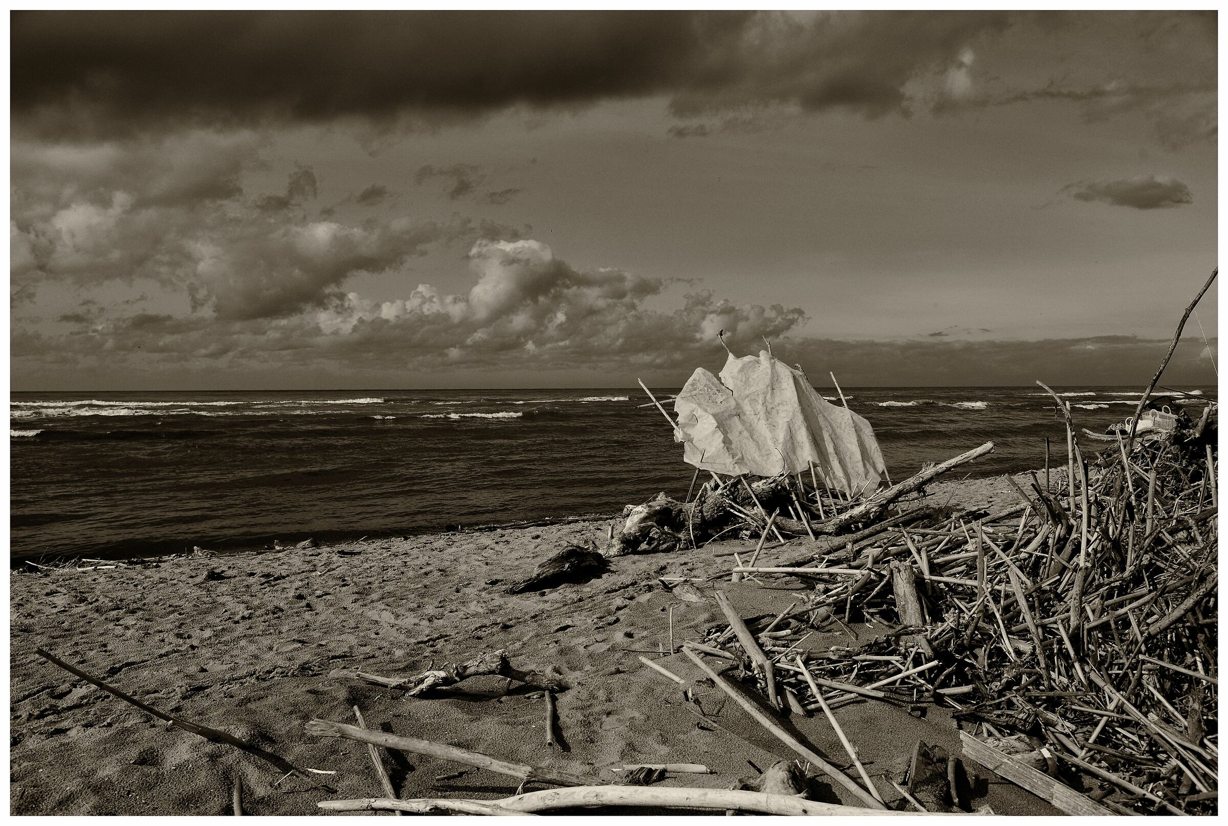 mouth of the Serchio