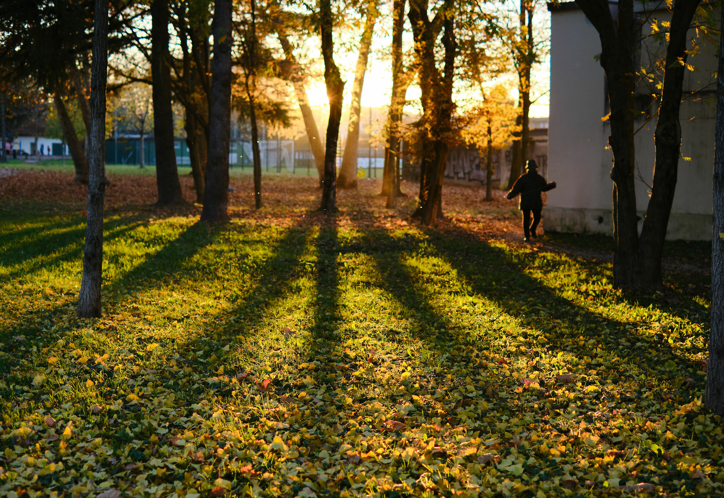 Don't catch me staring at the sun!