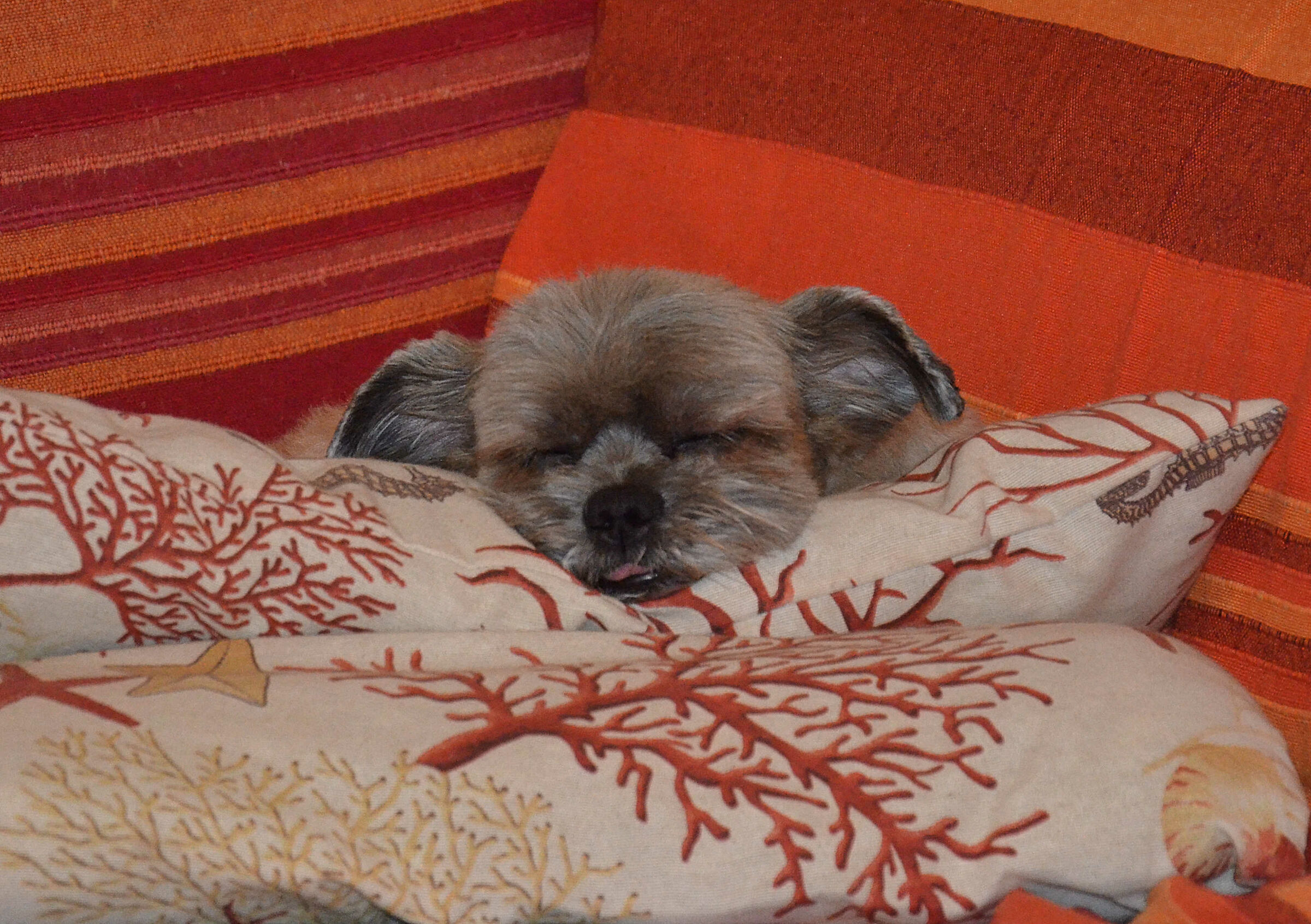 riflessioni sul divano osop_AD_796