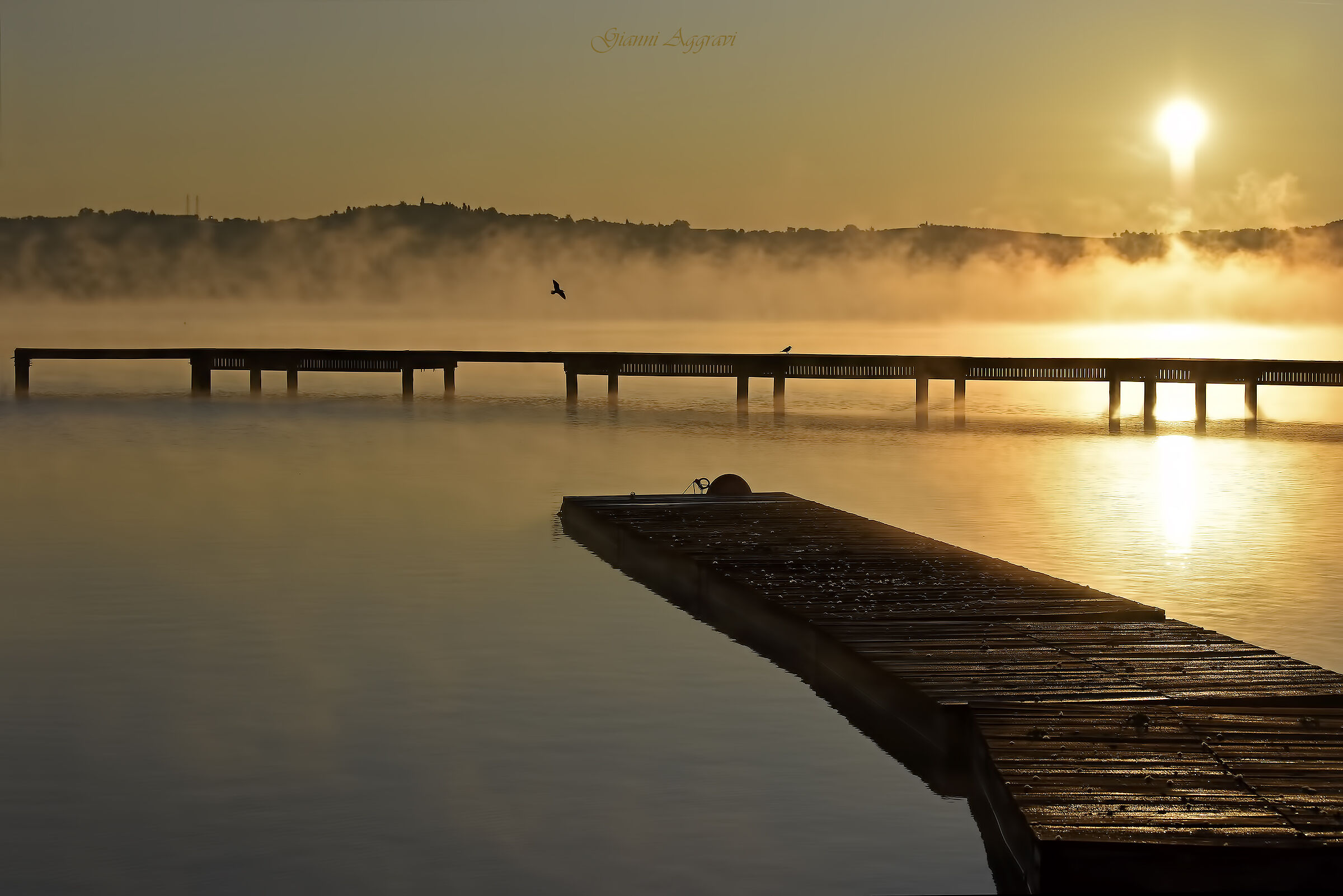 Volgi lo sguardo al Sole e non vedrai mai ombre