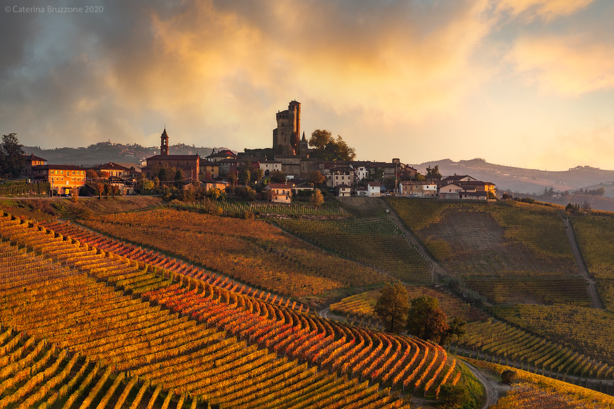 La vigna in giardino