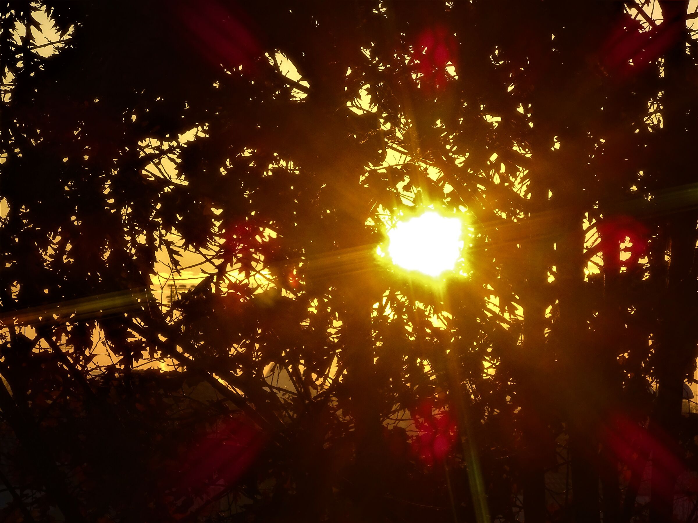 sta nascendo un nuovo giorno... Buongiorno a tutti..