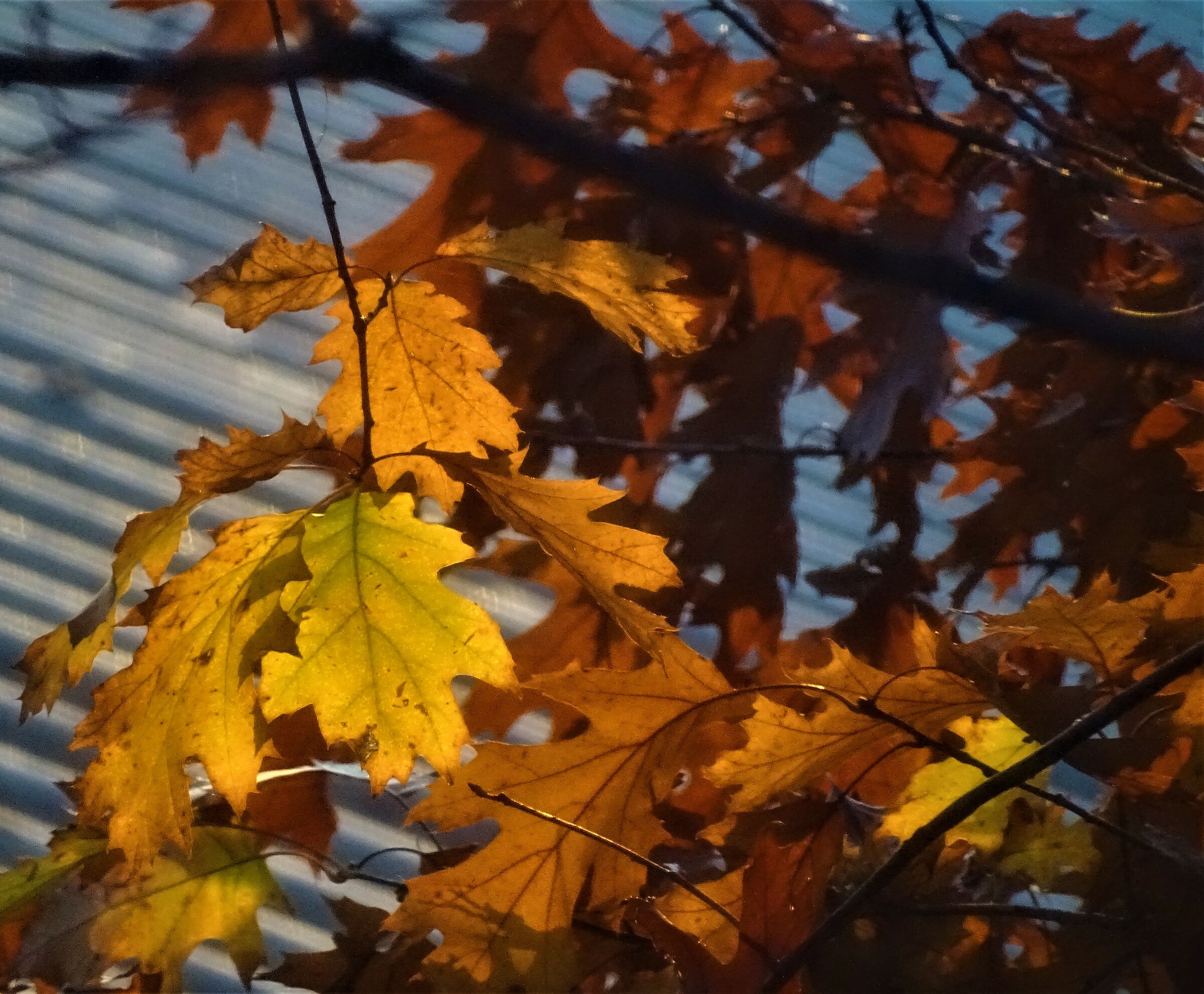 autunno benvenuto...