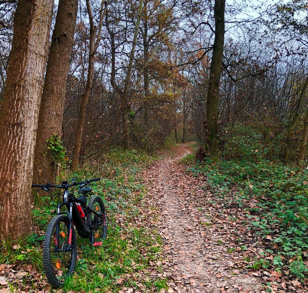 Nel parco con la mia Bianchina